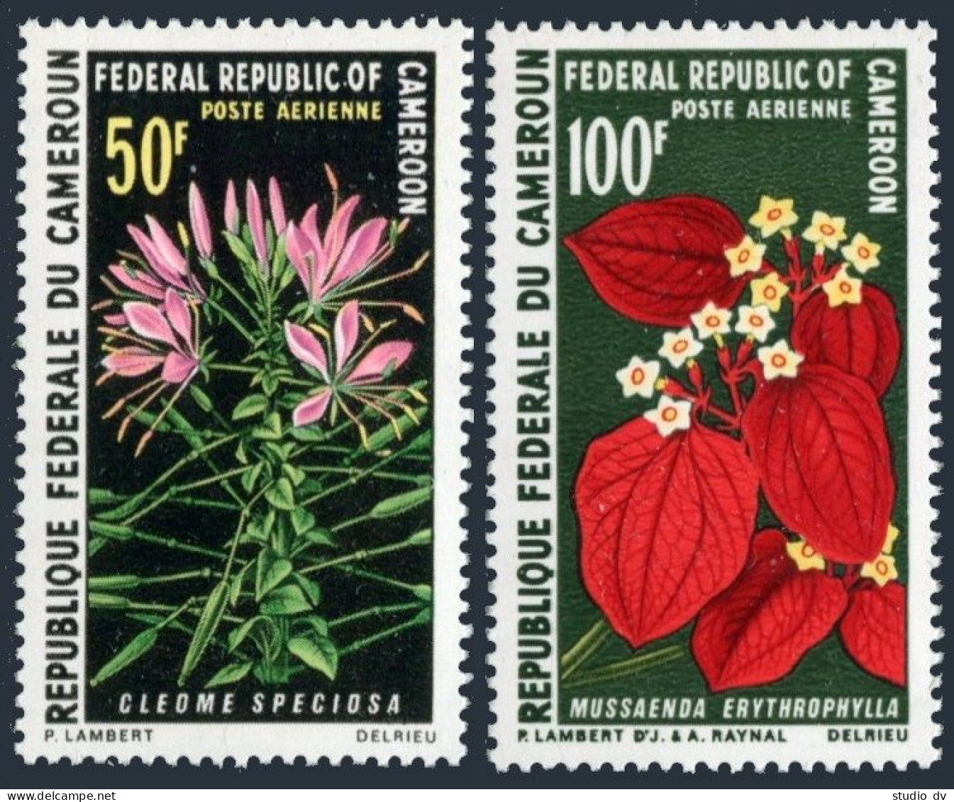 Cameroun C140-C141,MNH.Michel 608-609. Flowers 1970:Caper,Madder. - Kameroen (1960-...)