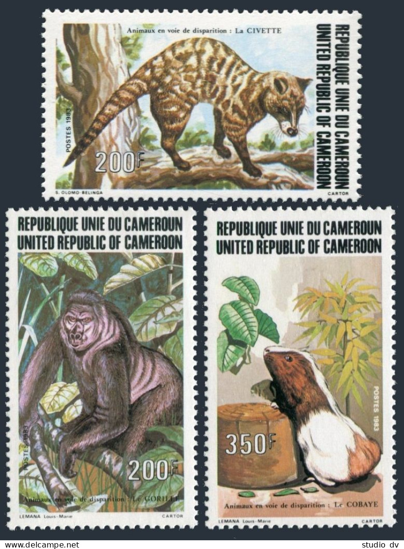 Cameroun 746-748, MNH. Michel 1019-1021. Civet Cat, Gorillas, Cobaya, 1983. - Cameroun (1960-...)
