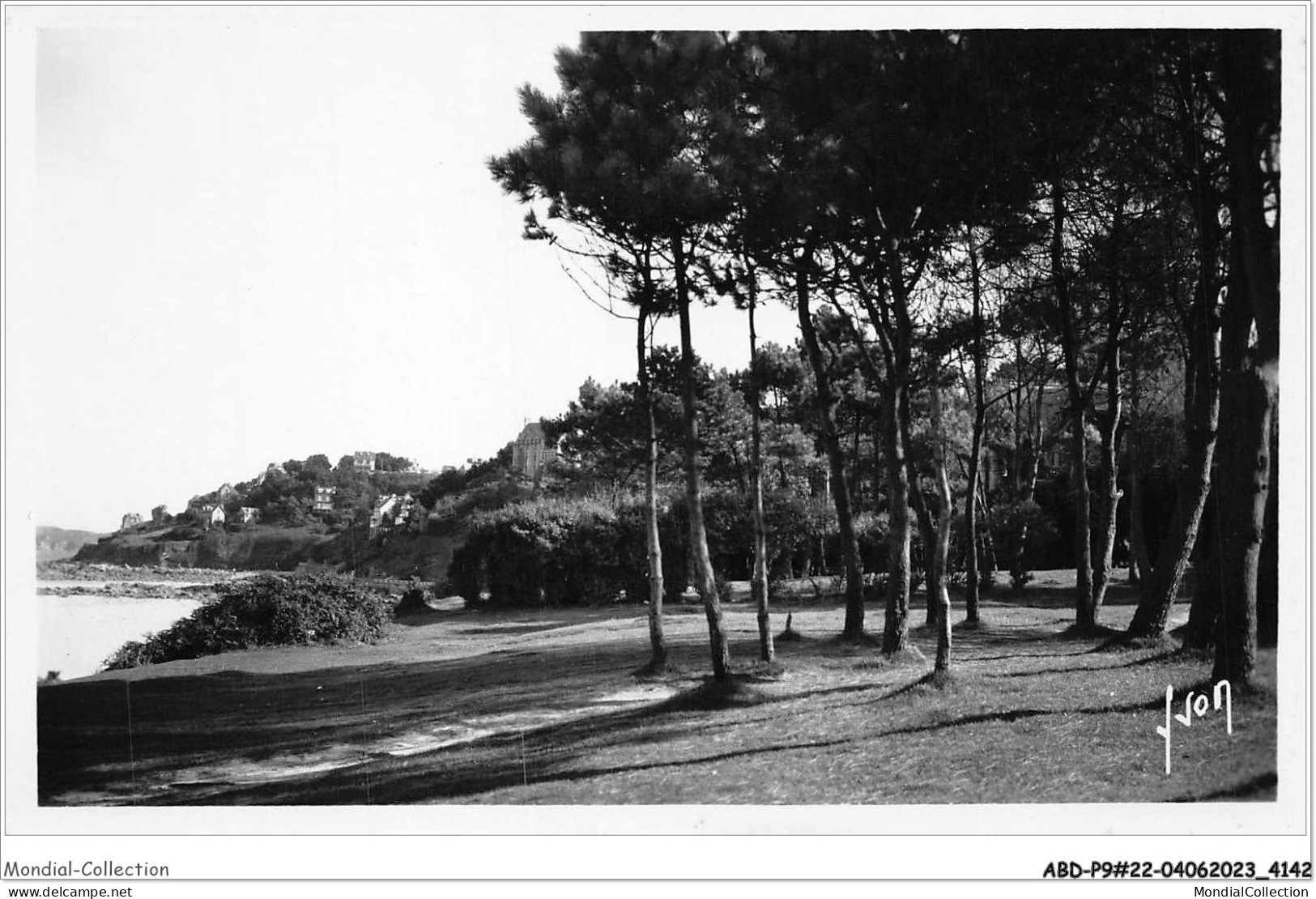 ABDP9-22-0827 - PERROS GUIREC - Sapiniere En Bordure De La Plage De Trestraou  - Perros-Guirec