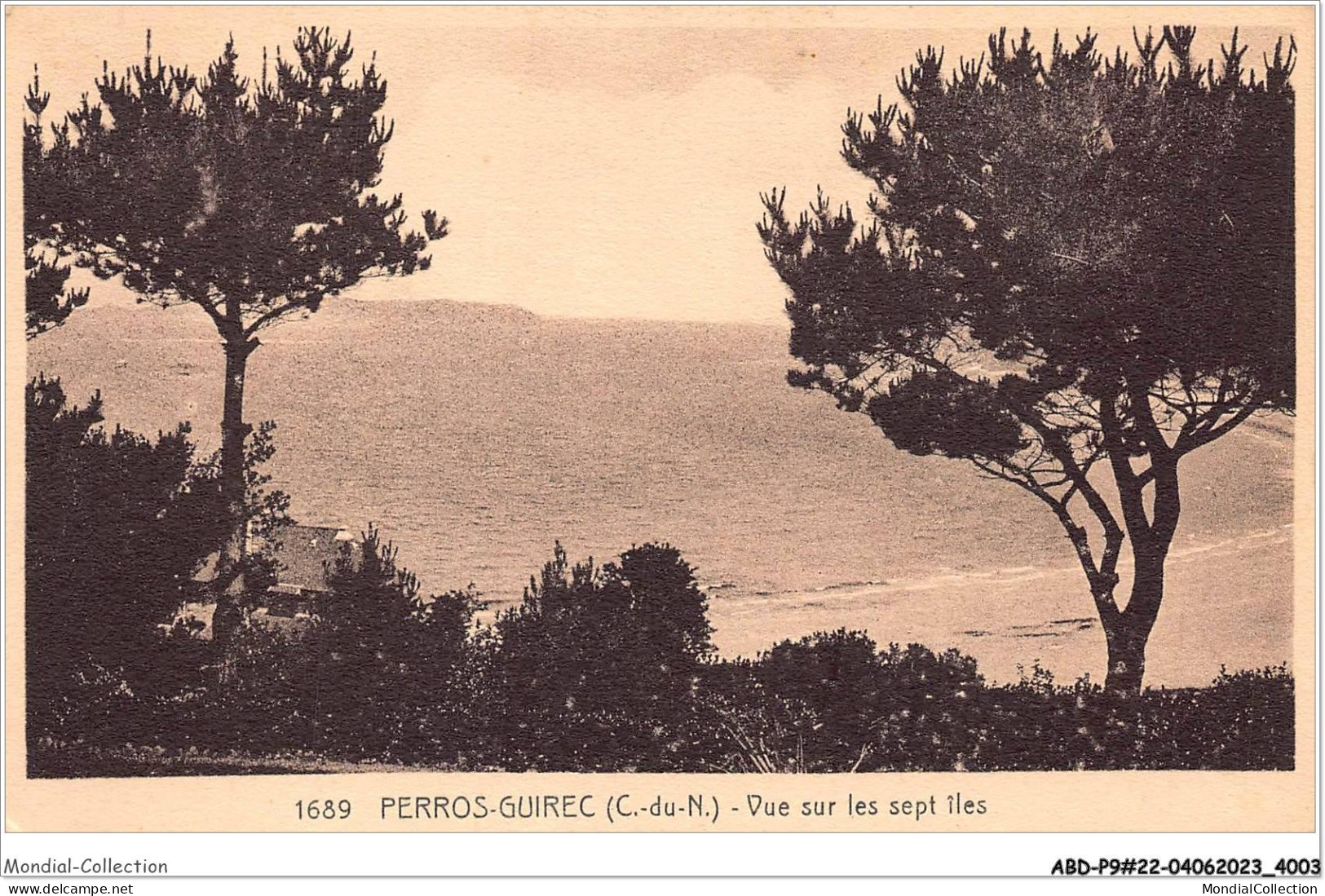 ABDP9-22-0753 - PERROS GUIREC - Vue Sur Les Sept Iles - Perros-Guirec