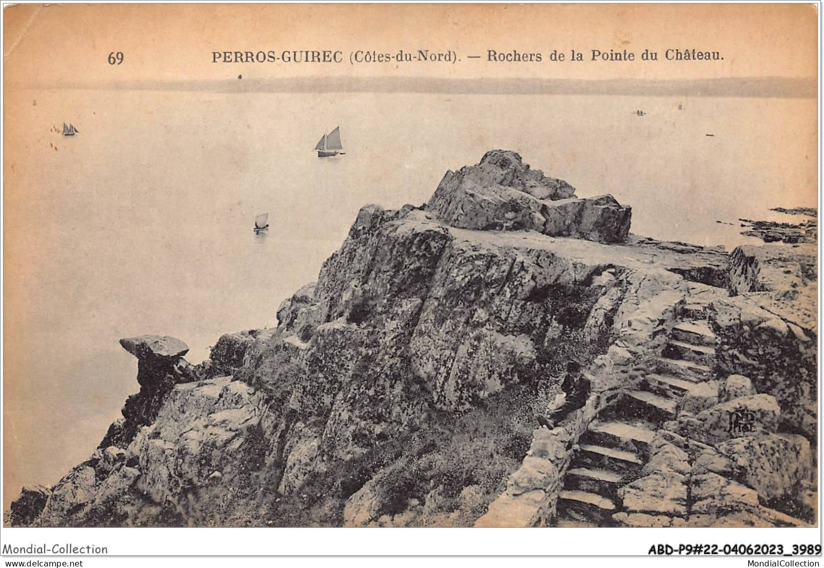 ABDP9-22-0744 - PERROS GUIREC - Rocher De La Pointe Du Chateau - Perros-Guirec