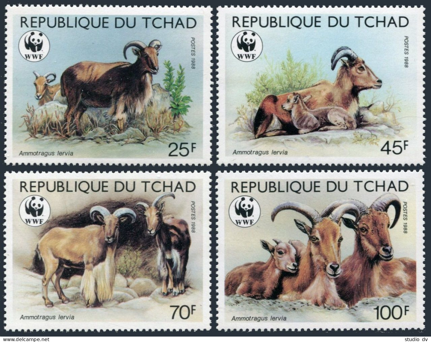 Chad 574-577, MNH. Michel 1124-1126. WWF 1988. Mouflons. Ammotraguus Lervia. - Chad (1960-...)