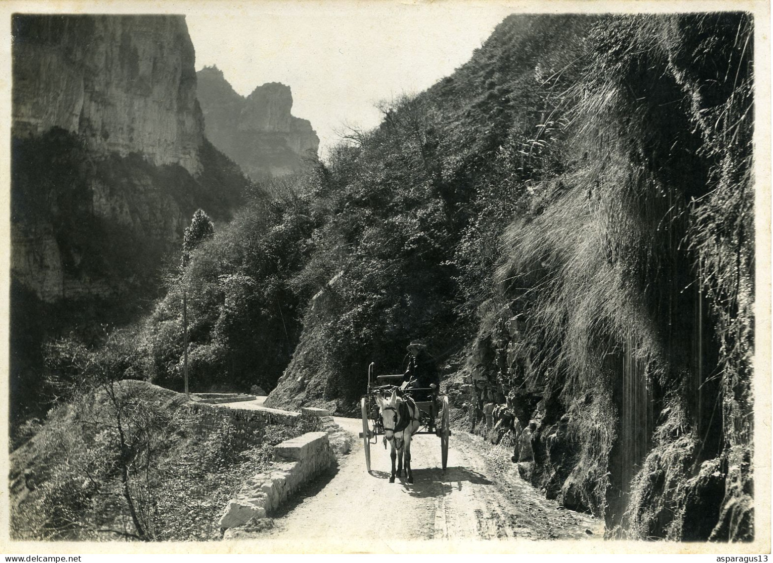 Gorges Du Cians Beuil Valberg Attelage Photo 12,5x17,5 - Europa