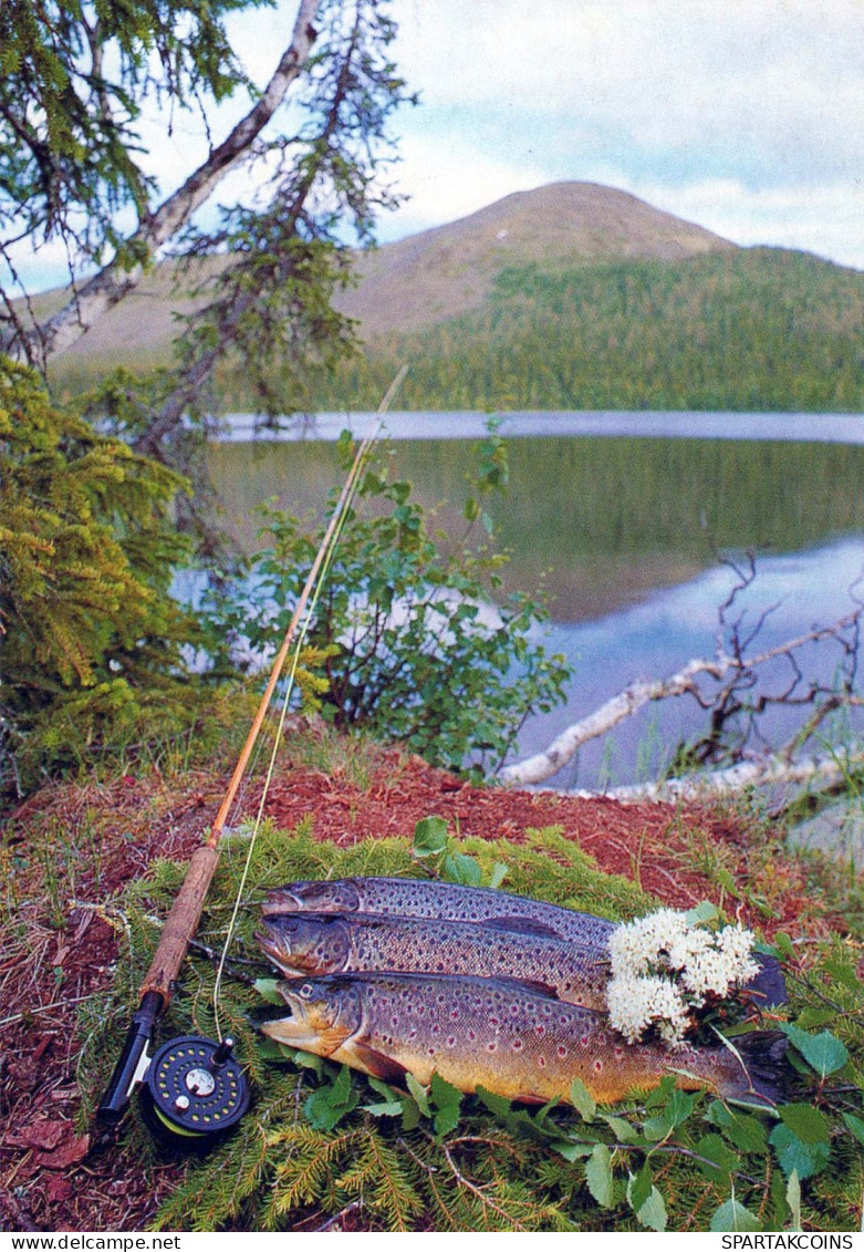 FISCH Tier Vintage Ansichtskarte Postkarte CPSM #PBS859.A - Fish & Shellfish