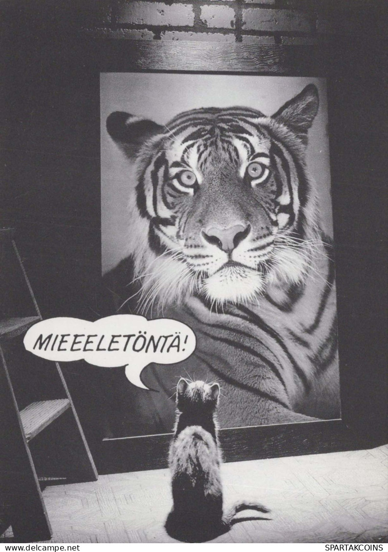 TIGRE Animales Vintage Tarjeta Postal CPSM #PBS036.A - Tiger