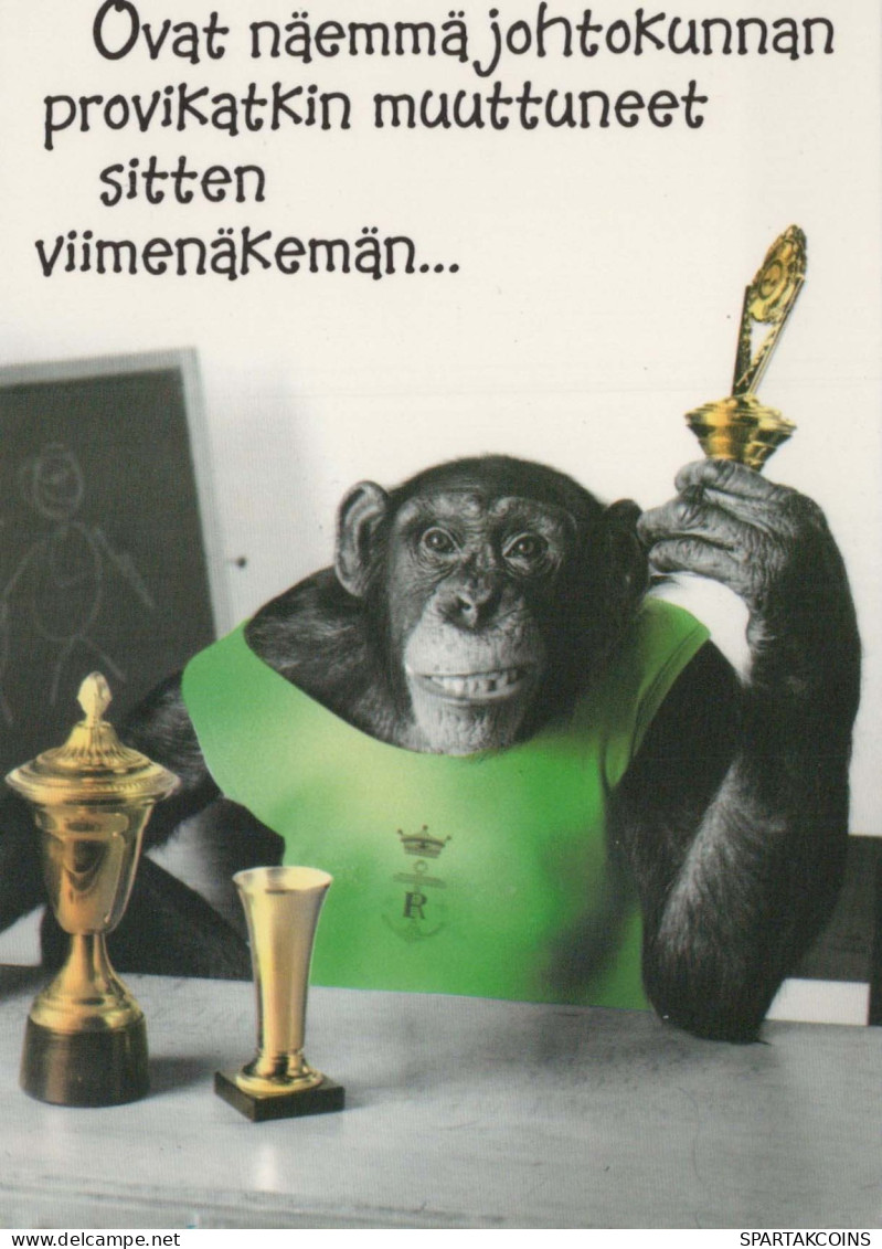 MONO Animales Vintage Tarjeta Postal CPSM #PBS011.A - Monkeys
