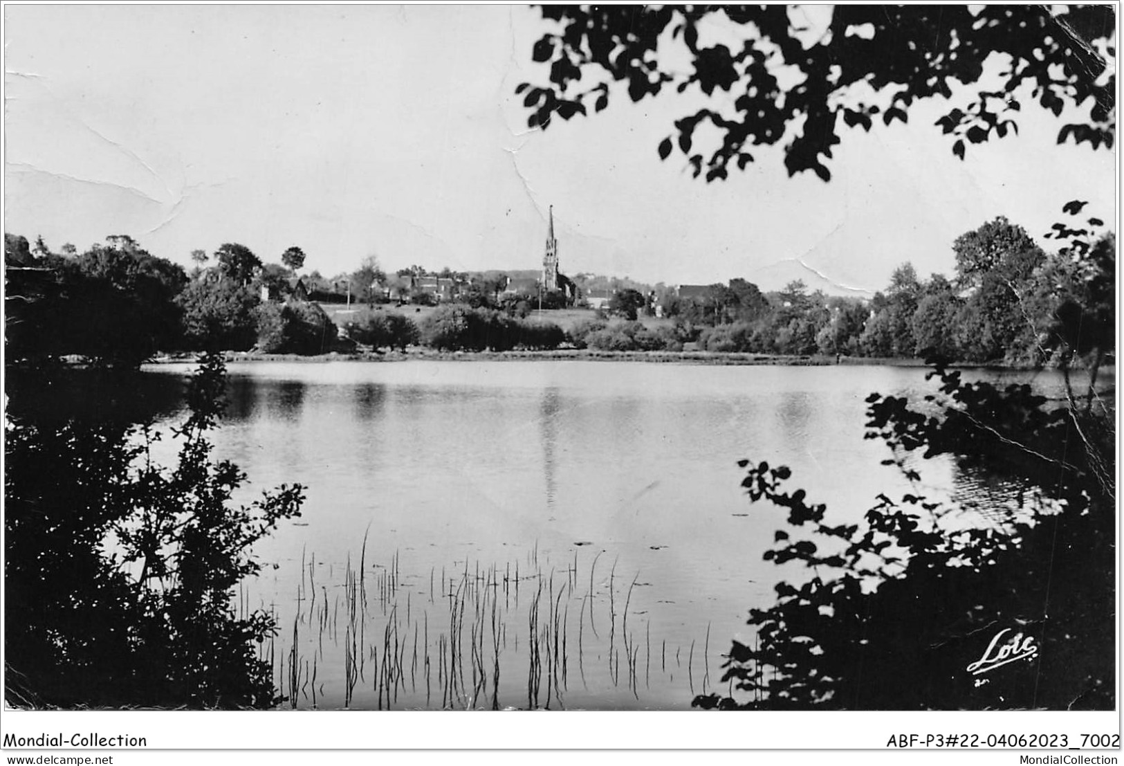 ABFP3-22-0206 - SAINT-GILLES-VIEUX-MARCHE - Etang De Poulancre - Saint-Gilles-Vieux-Marché