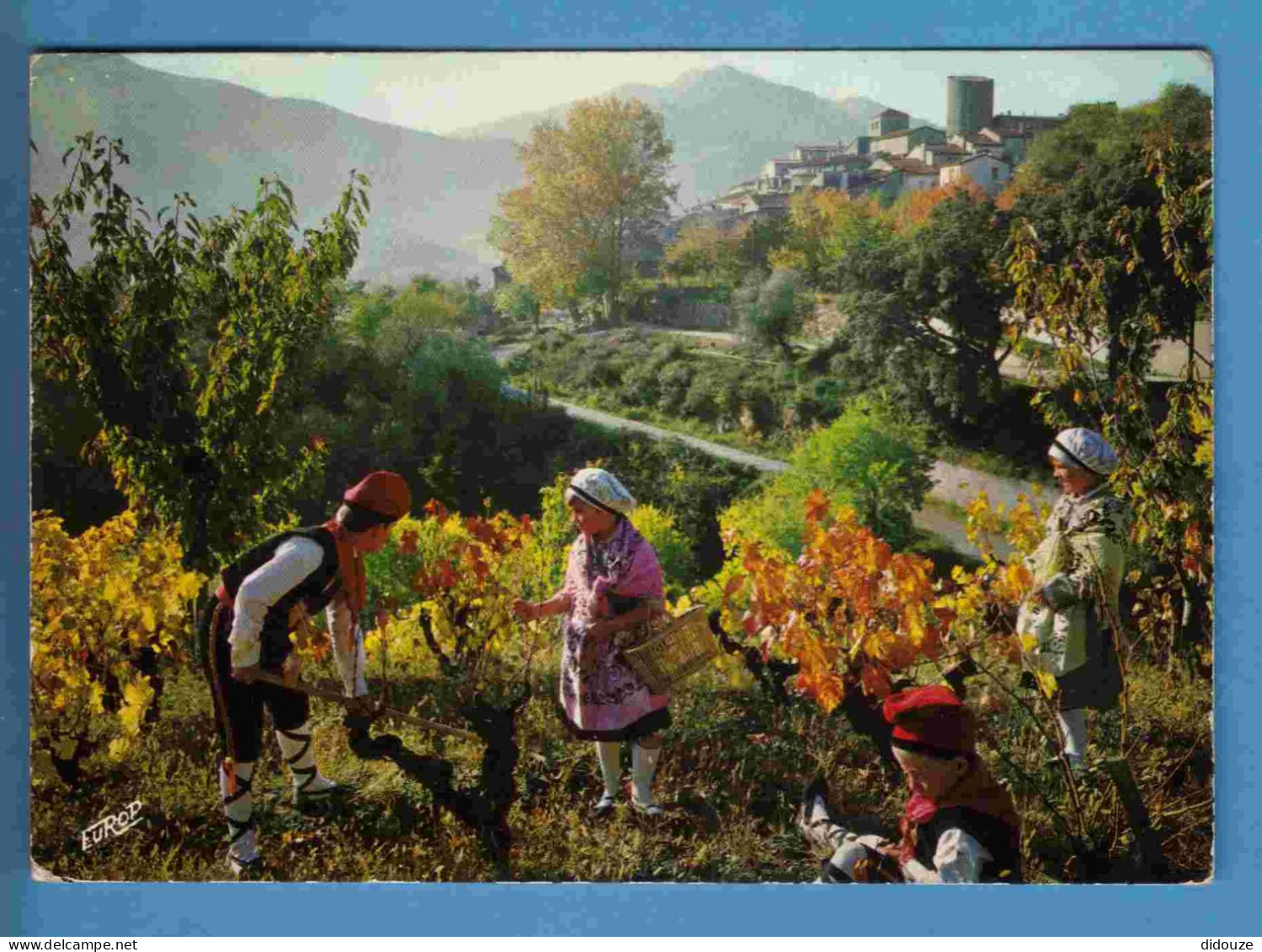 Vignes - Roussillon - Son Folklore - Ses Vignes - Ecrite En 1971 - Vines