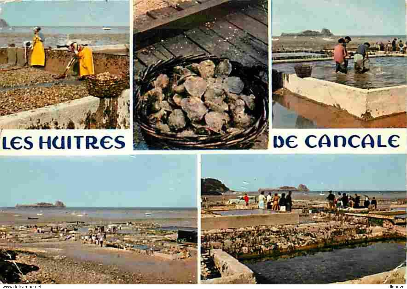 Metiers - Ostréiculture - Culture Des Huitres - Ostréiculteur - Cancale - Multivues - Les Parcs à Huîtres - Flamme Posta - Fishing