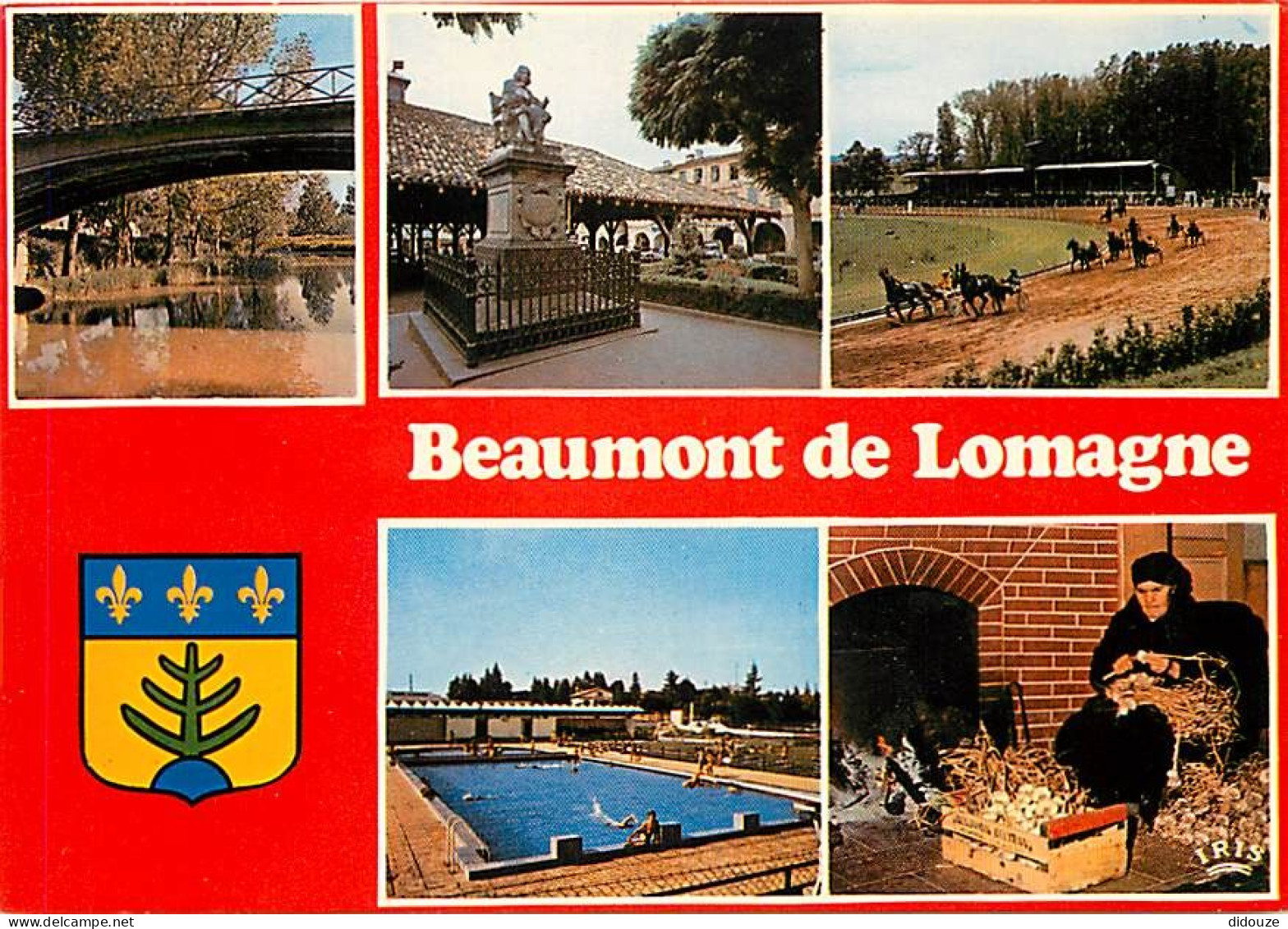 82 - Beaumont De Lomagne - Multivues - Piscine - Blasons - CPM - Voir Scans Recto-Verso - Beaumont De Lomagne