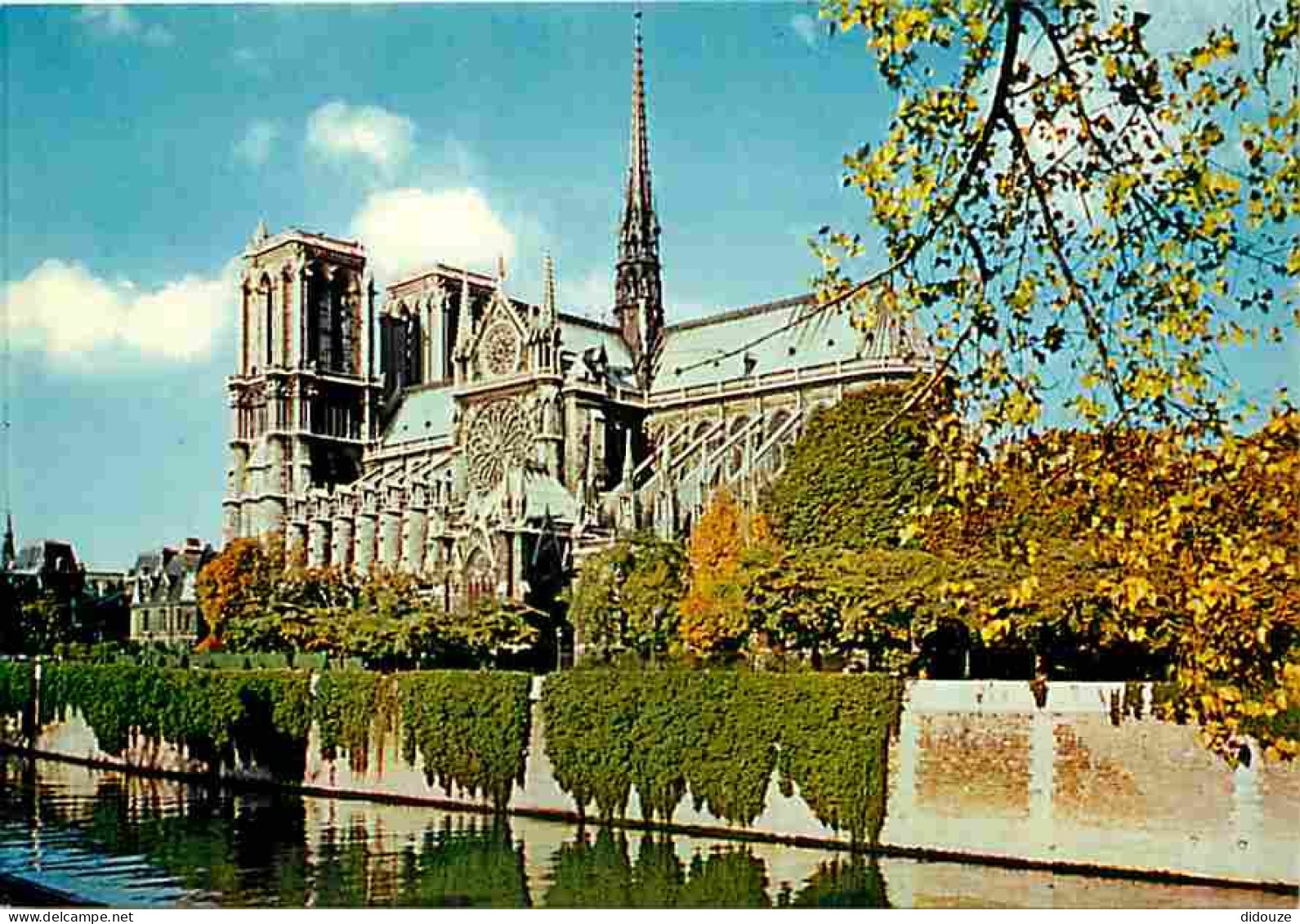 75 - Paris - Cathédrale Notre Dame - Carte Neuve - CPM - Voir Scans Recto-Verso - Notre Dame De Paris