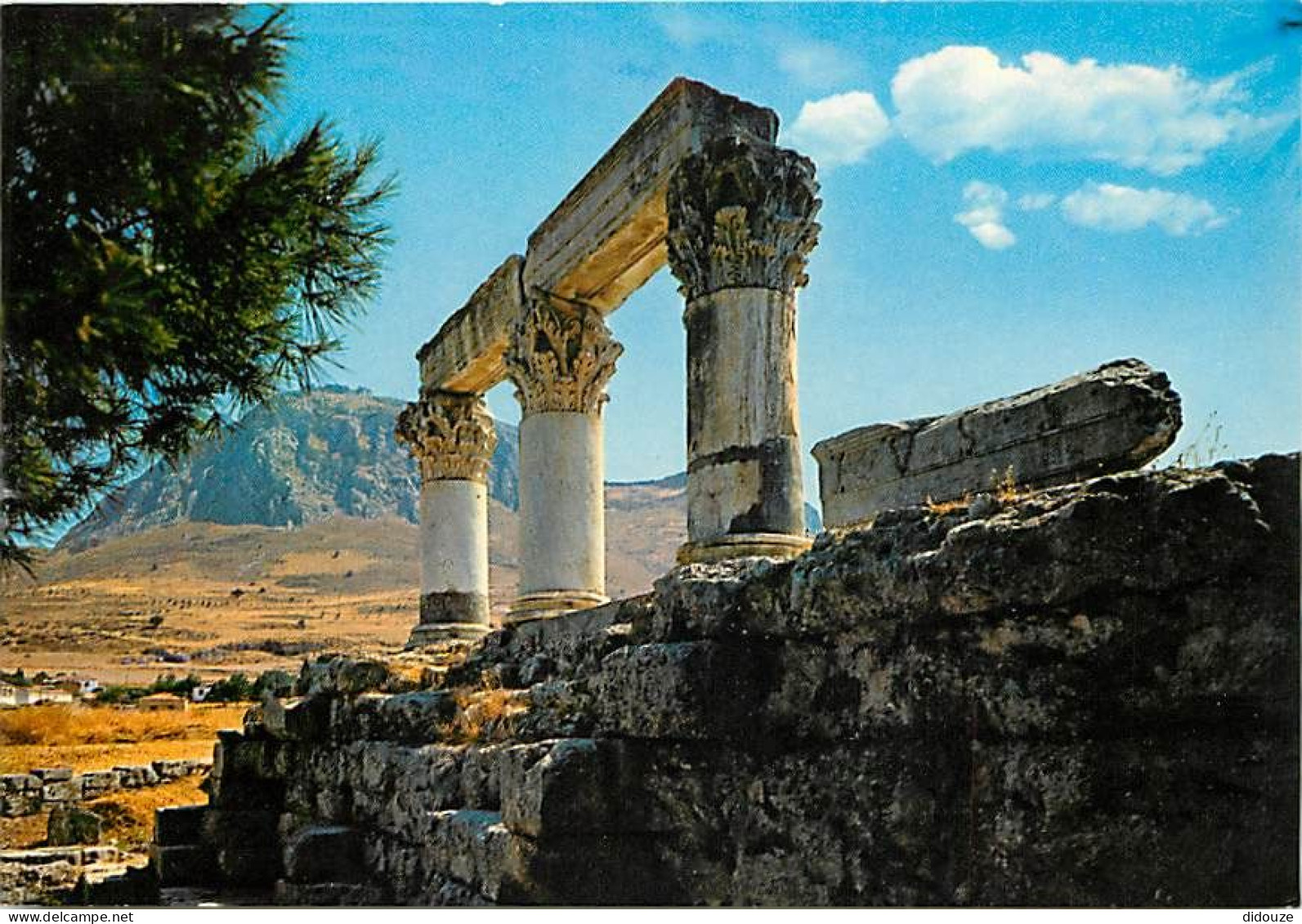 Grèce - Corinthe - Kórinthos - Ancienne Corinthe - Les Ruines D'un Temple Antique - Carte Neuve - CPM - Voir Scans Recto - Greece