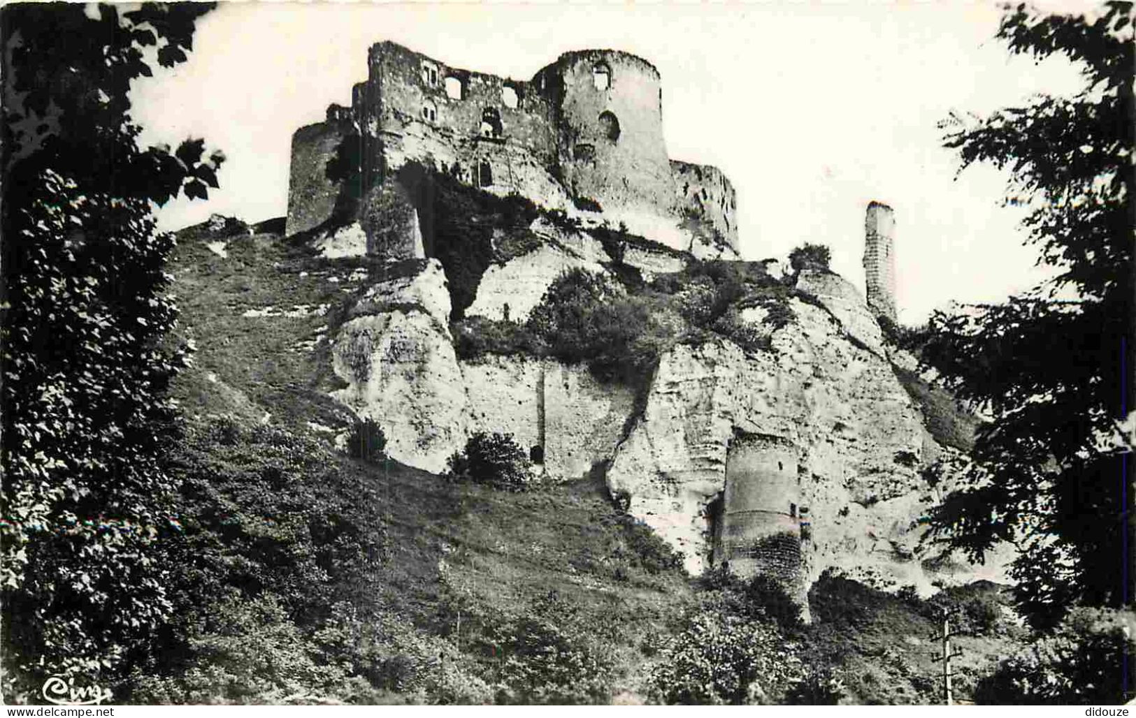 27 - Les Andelys - Le Château Gaillard - Mention Photographie Véritable - Carte Dentelée - CPSM Format CPA - Voir Scans  - Les Andelys