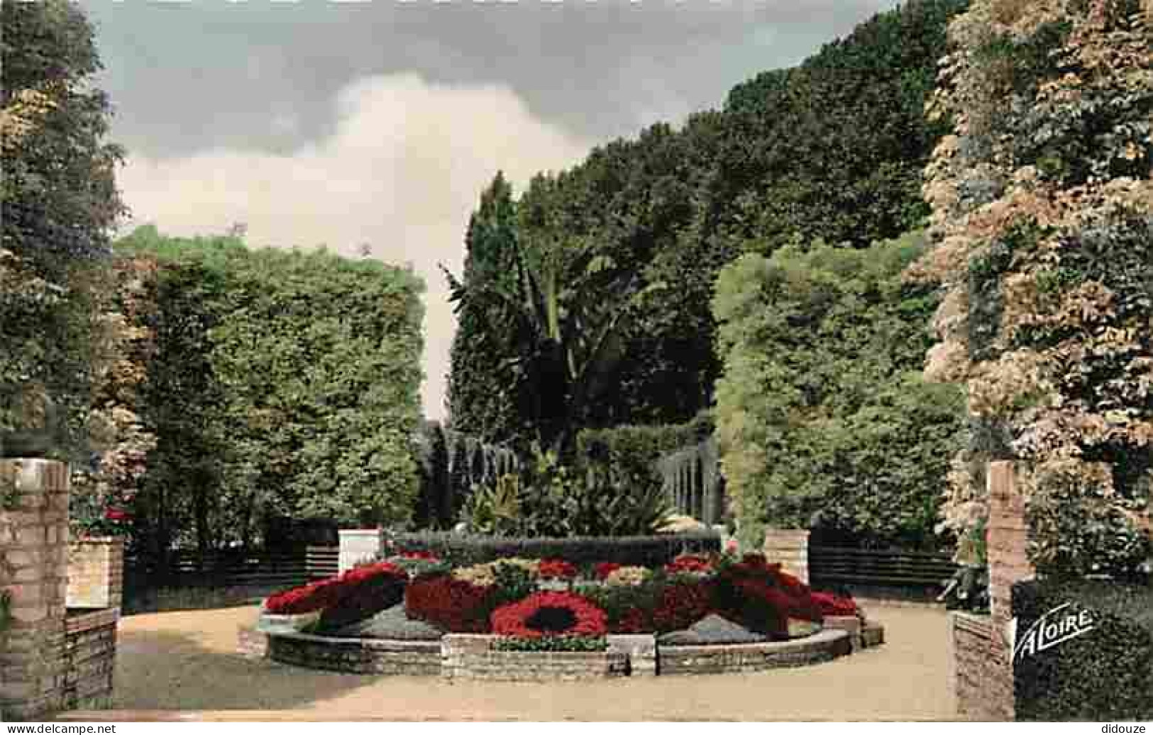 18 - Bourges - Le Jardin Dés Prés Fichaux - Un Bananier - Fleurs - Carte Neuve - CPM - Voir Scans Recto-Verso - Bourges