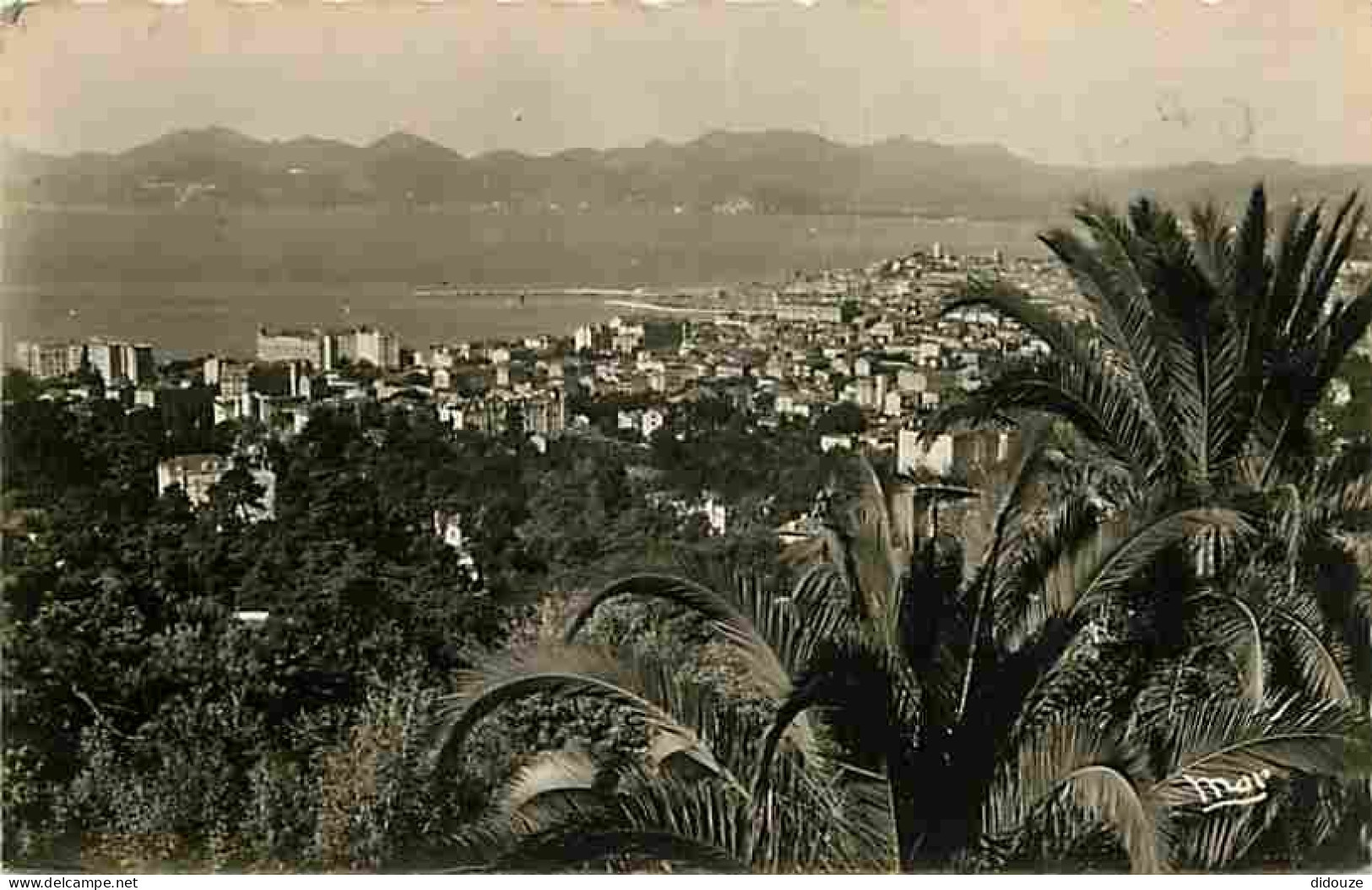 06 - Cannes - Vue Générale - CPM - Voir Scans Recto-Verso - Cannes