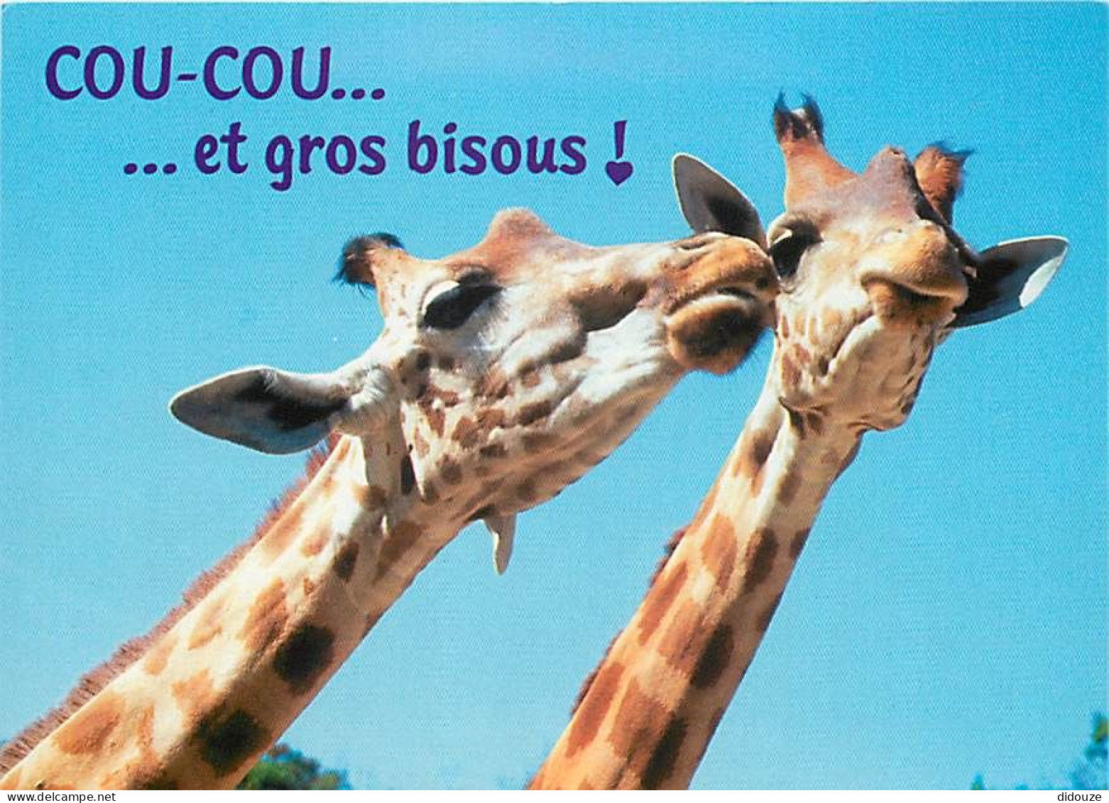 Animaux - Girafes - Carte Humoristique - Carte Neuve - CPM - Voir Scans Recto-Verso - Giraffen