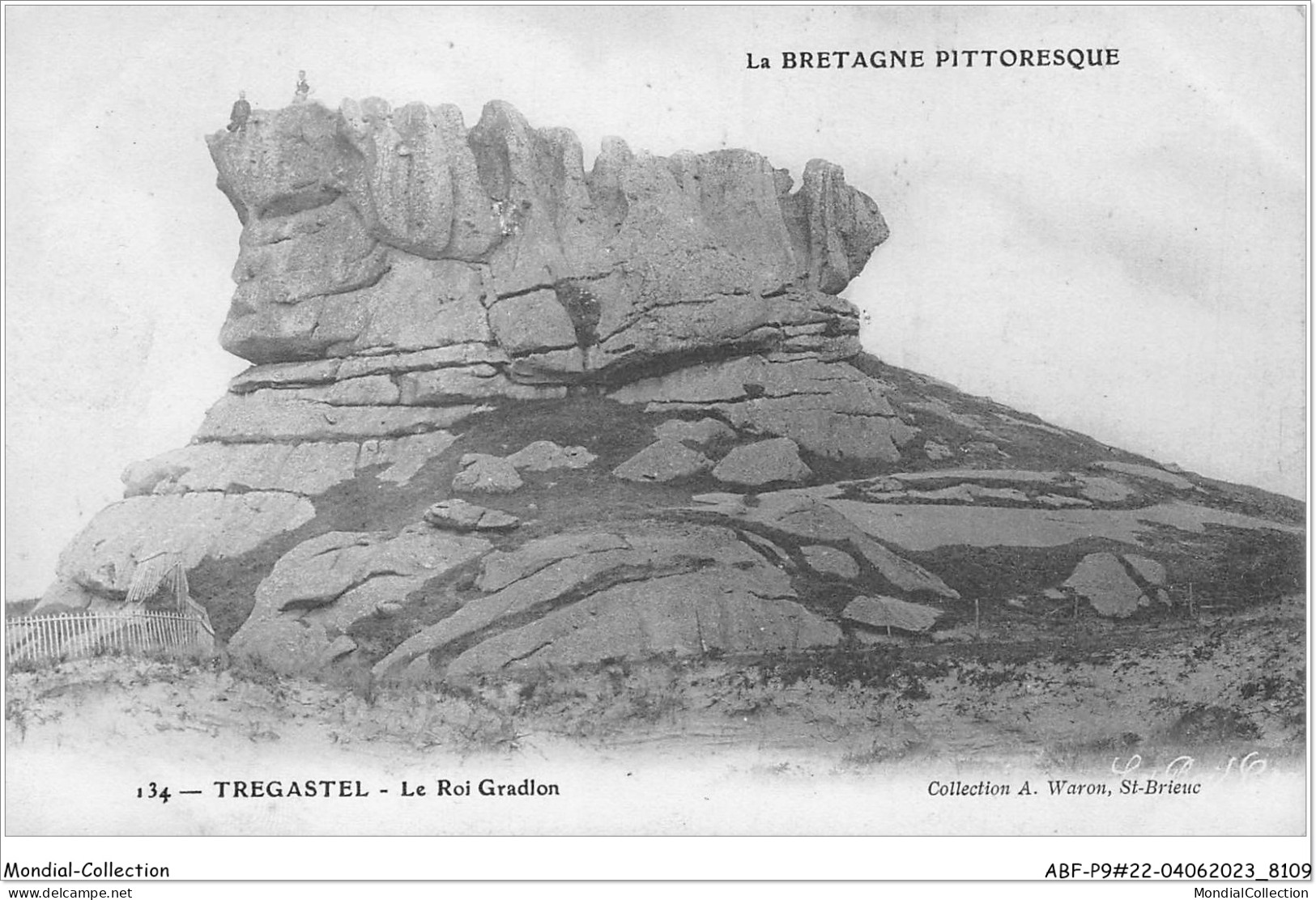 ABFP9-22-0761 - TREGASTEL - Le Roi Gradlon  - Trégastel