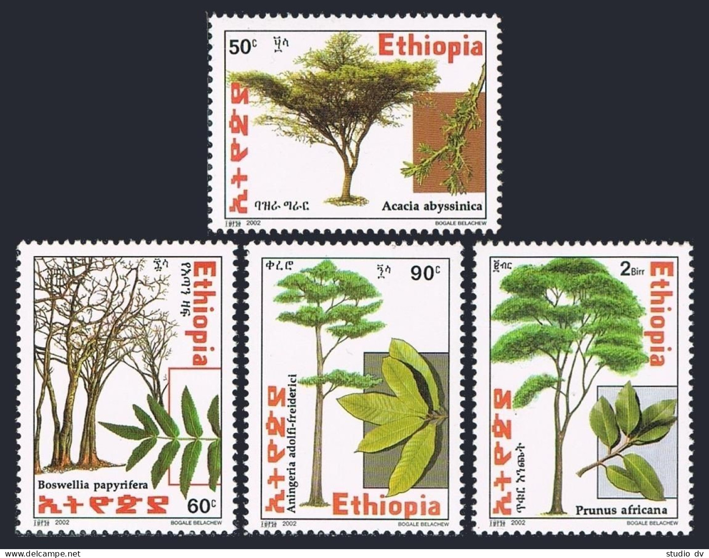 Ethiopia 1599-1602, MNH. Trees 2002. Acacia Abyssinica, Boswellia Papyrifera, - Äthiopien
