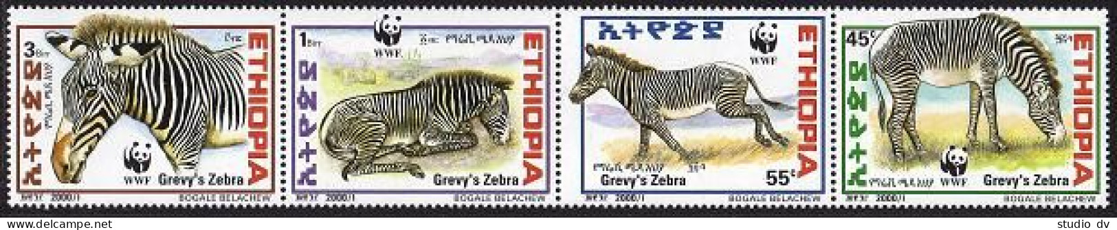 Ethiopia 1533 Ad Strip, MNH. WWF 2001. Grevy's Zebra. - Ethiopia