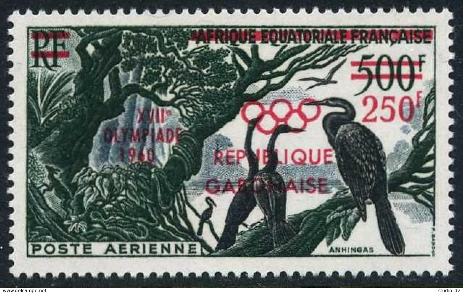 Gabon C3,MNH.Michel 156. Olympics Rome-1960.Birds Anhingas Overprinted. - Gabon