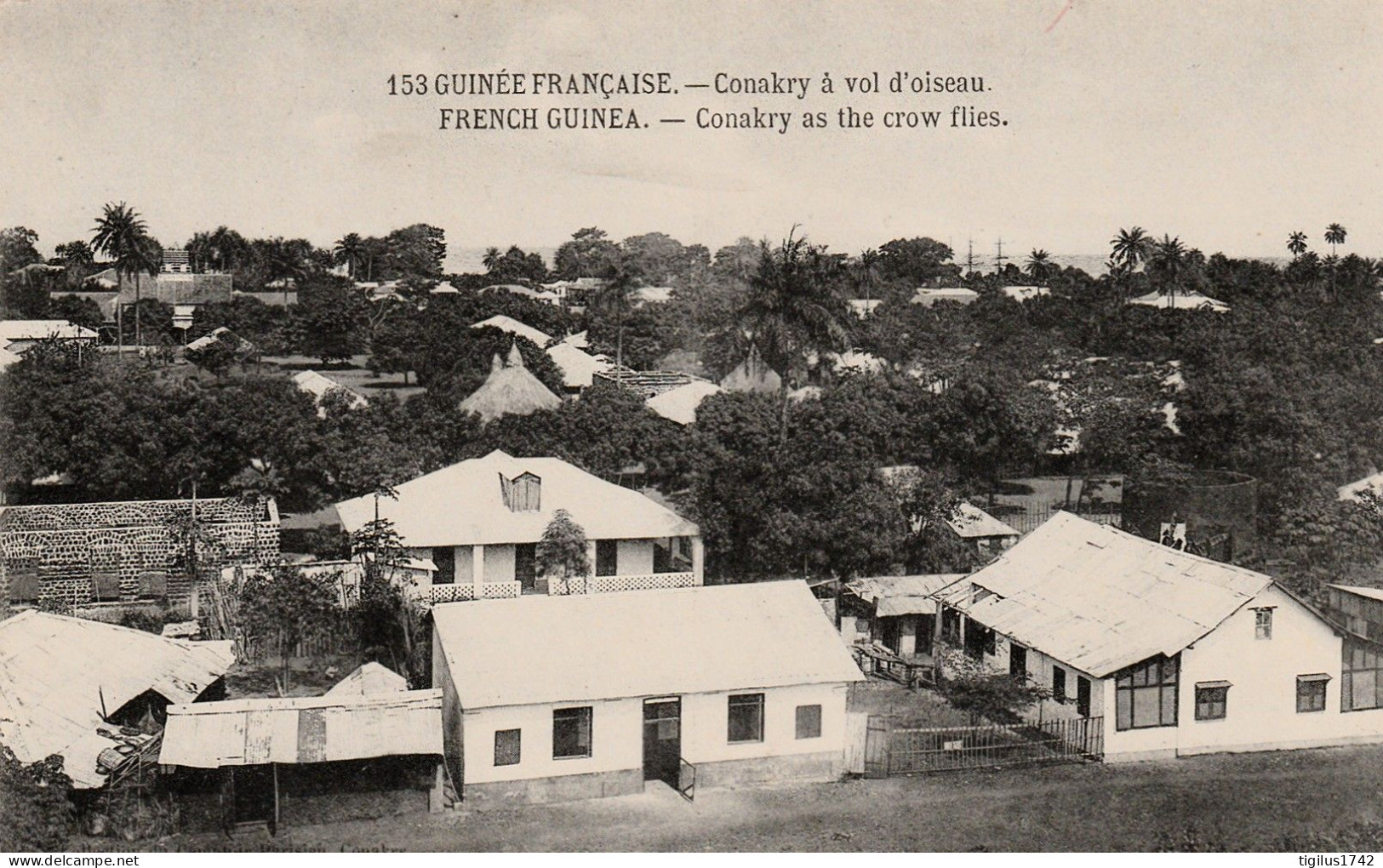 Guinée Française Conakry à Vol D'oiseau - French Guinea