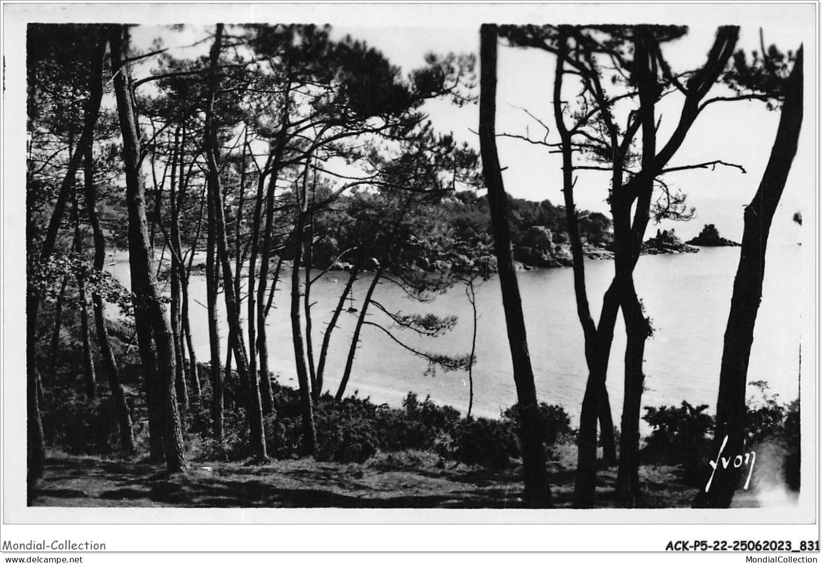 ACKP5-22-0412 - ILE DE BREHAT - Les Pins - La Mer  - Ile De Bréhat