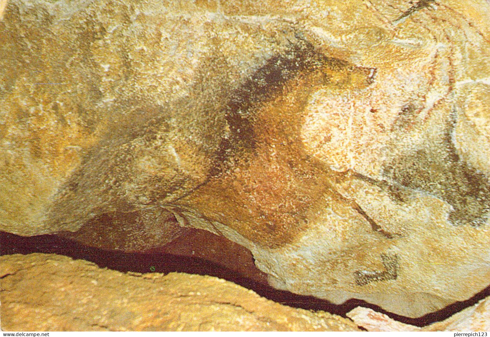 24 - Montignac Lascaux - Grottes - Diverticule Axial : "cheval Renversé" - Montignac-sur-Vézère