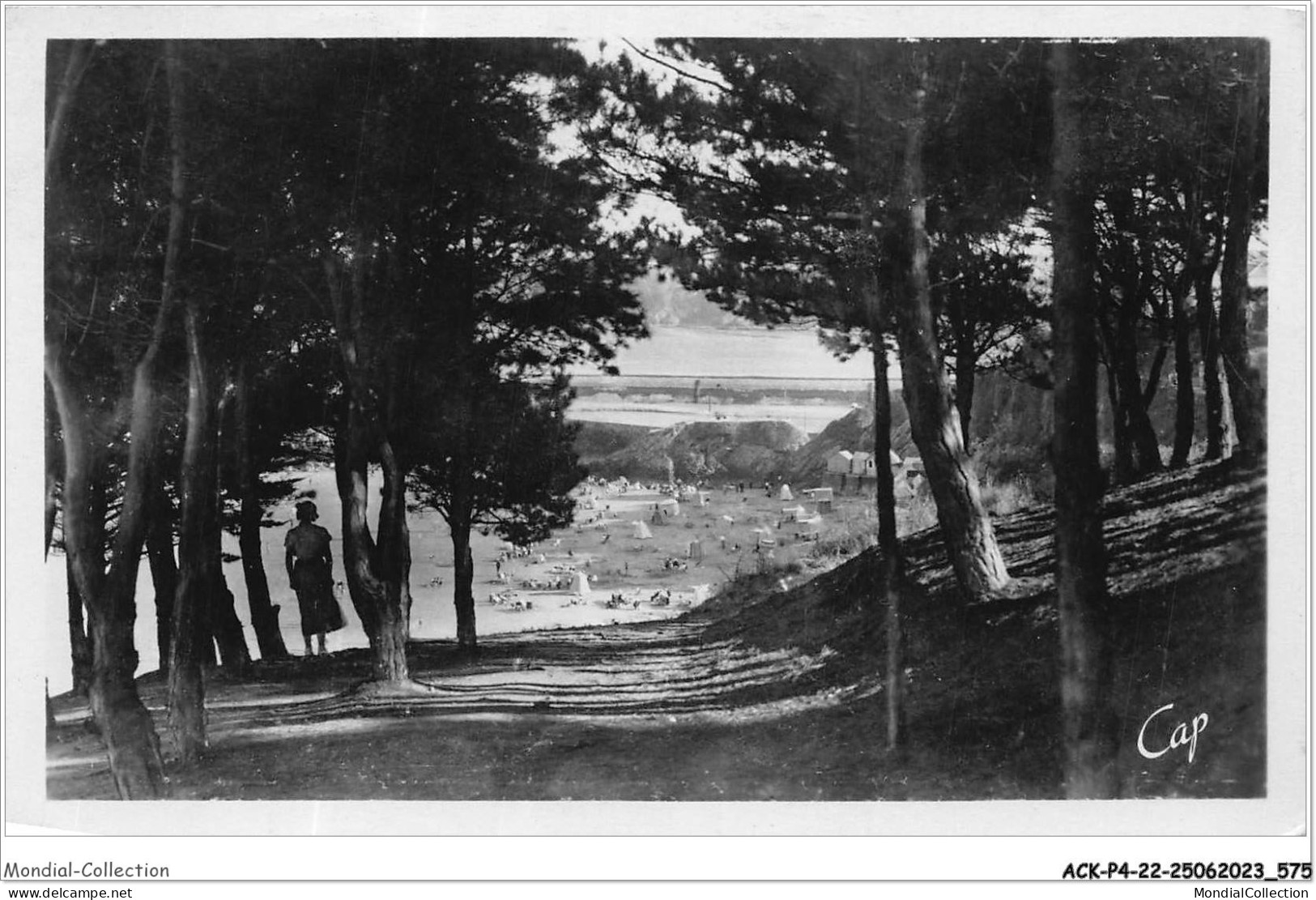 ACKP4-22-0289 - BINIC - Les Pins Au Bords De La Plage - Binic