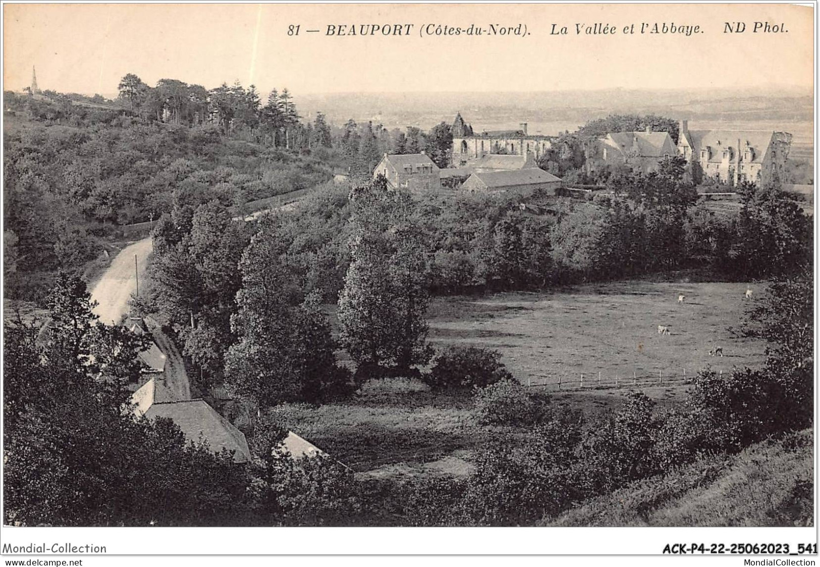 ACKP4-22-0272 - BEAUPORT - La Vallée Et L'abbaye  - Paimpol