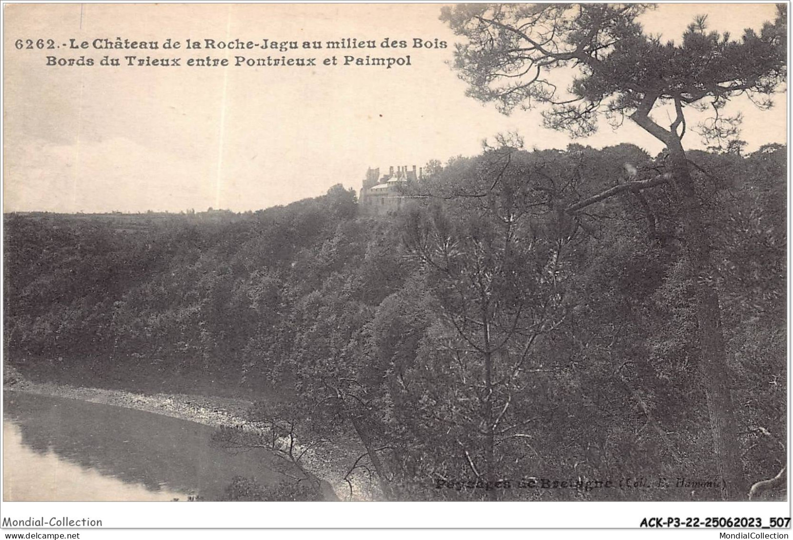ACKP3-22-0255 - Le Château De La Roche-jagu Au Milieu Des Bois - Bords Du Trieux Entre PONTRIEUX Et PAIMPOL - Paimpol