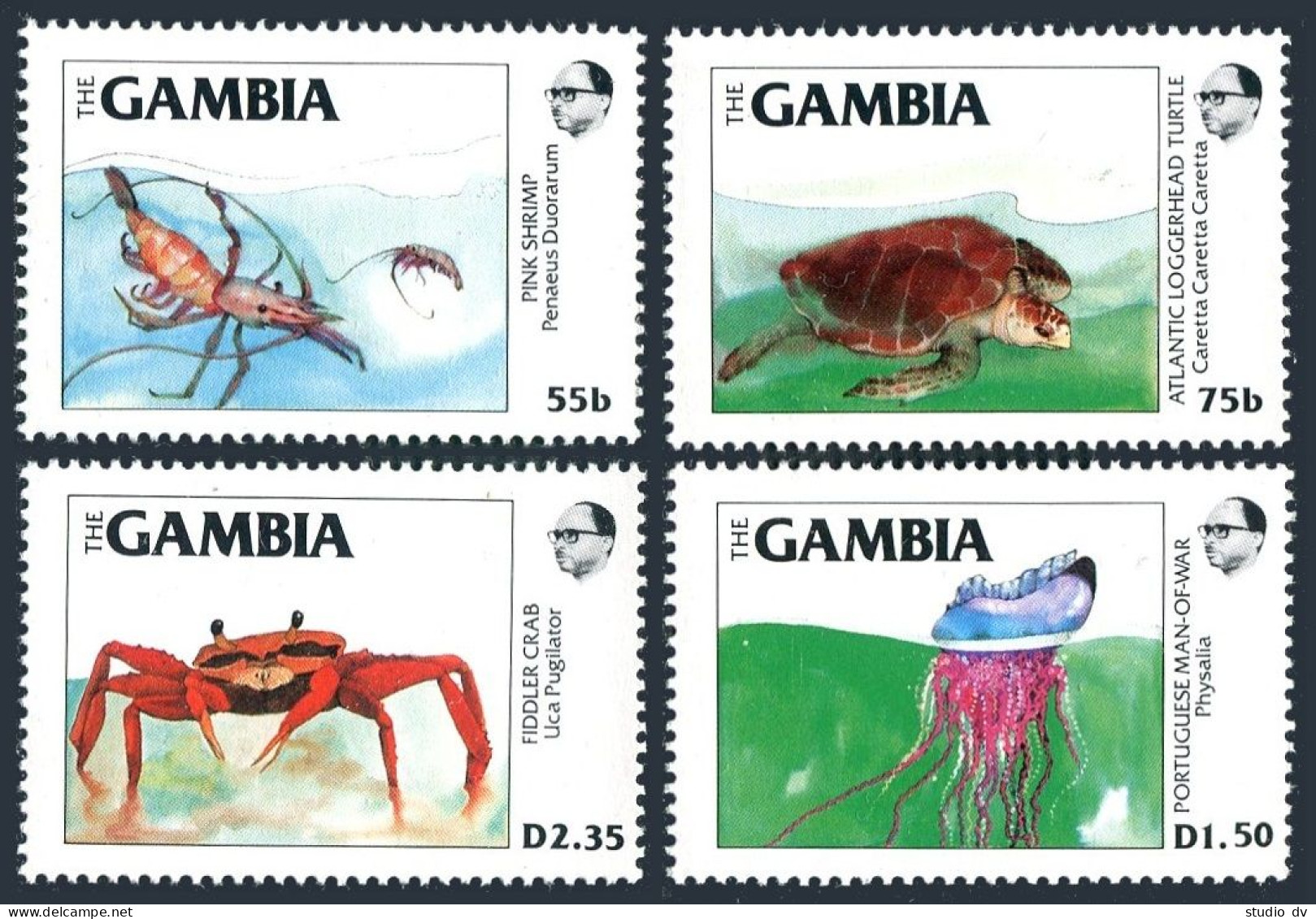 Gambia 538-541, MNH. Michel 544-547. Crab, Turtle, Shrimp, Man-of-War, 1984. - Gambia (1965-...)