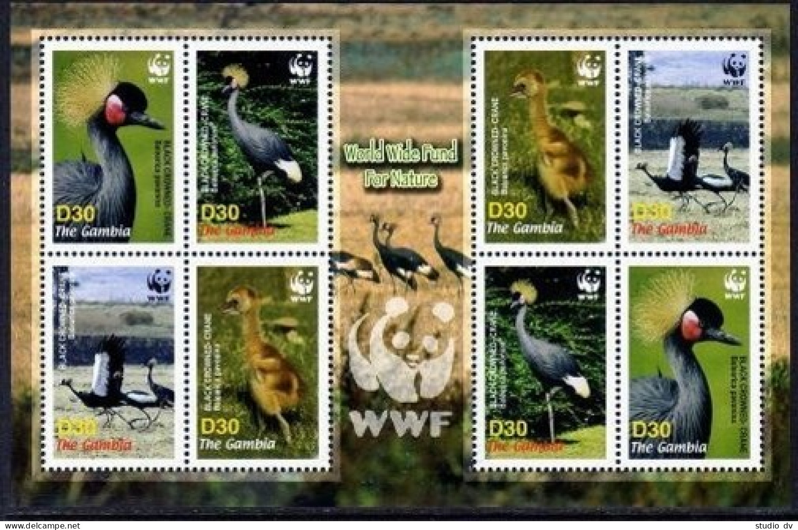 Gambia 3014e Sheet, MNH. WWF-2006. Black-crowed Crane.  - Gambie (1965-...)