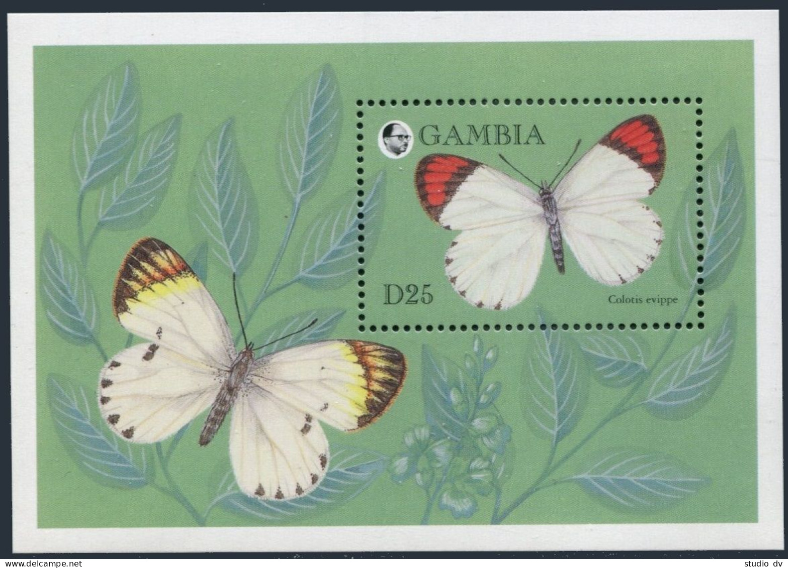 Gambia 1575,MNH.Michel Bl.235. Butterflies 1994.Colotis Evippe. - Gambie (1965-...)