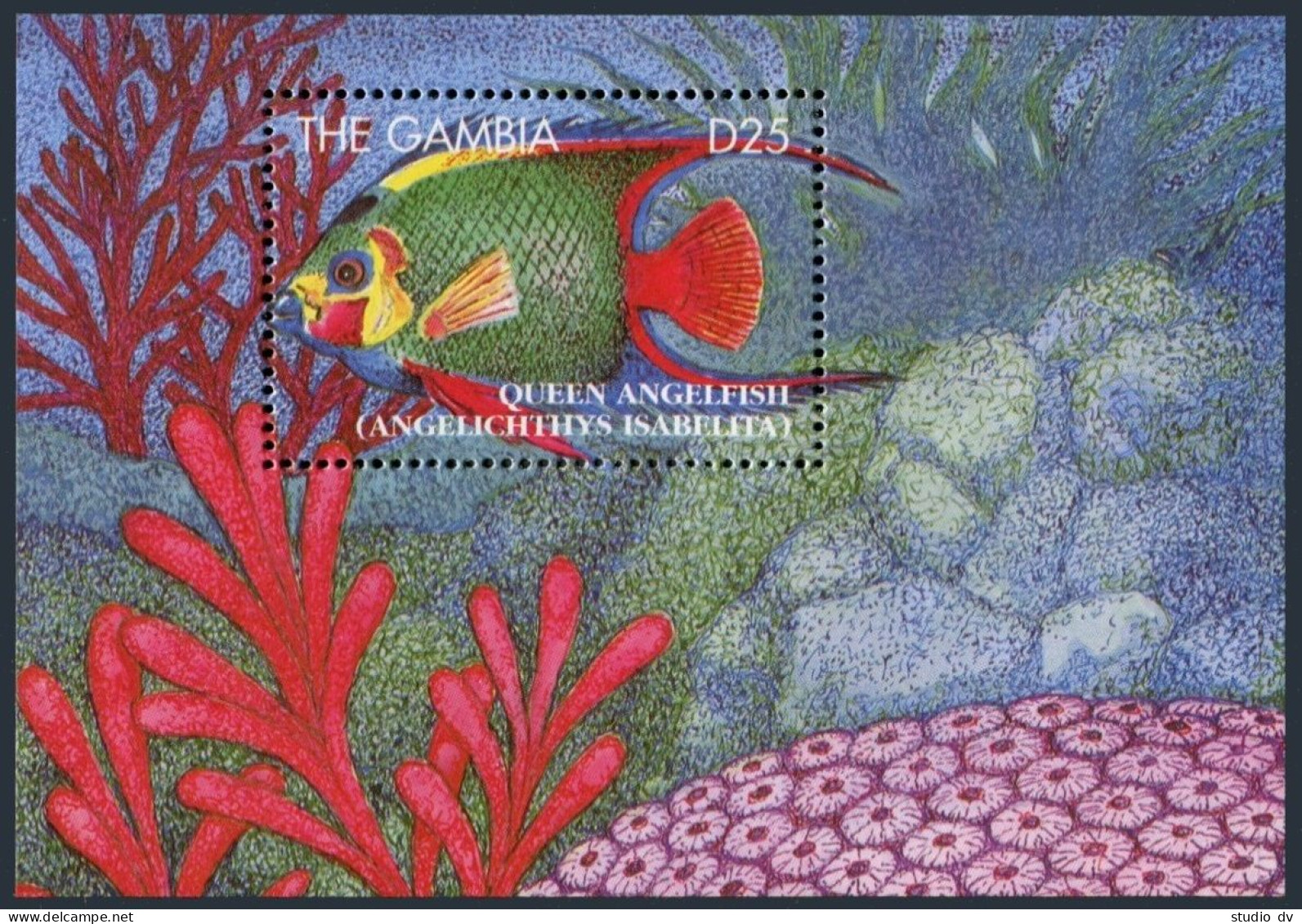 Gambia 1624-1625 Sheets,MNH.Michel 2082-2083 Bl.251-252. Marine Life 1995.Fish. - Gambie (1965-...)