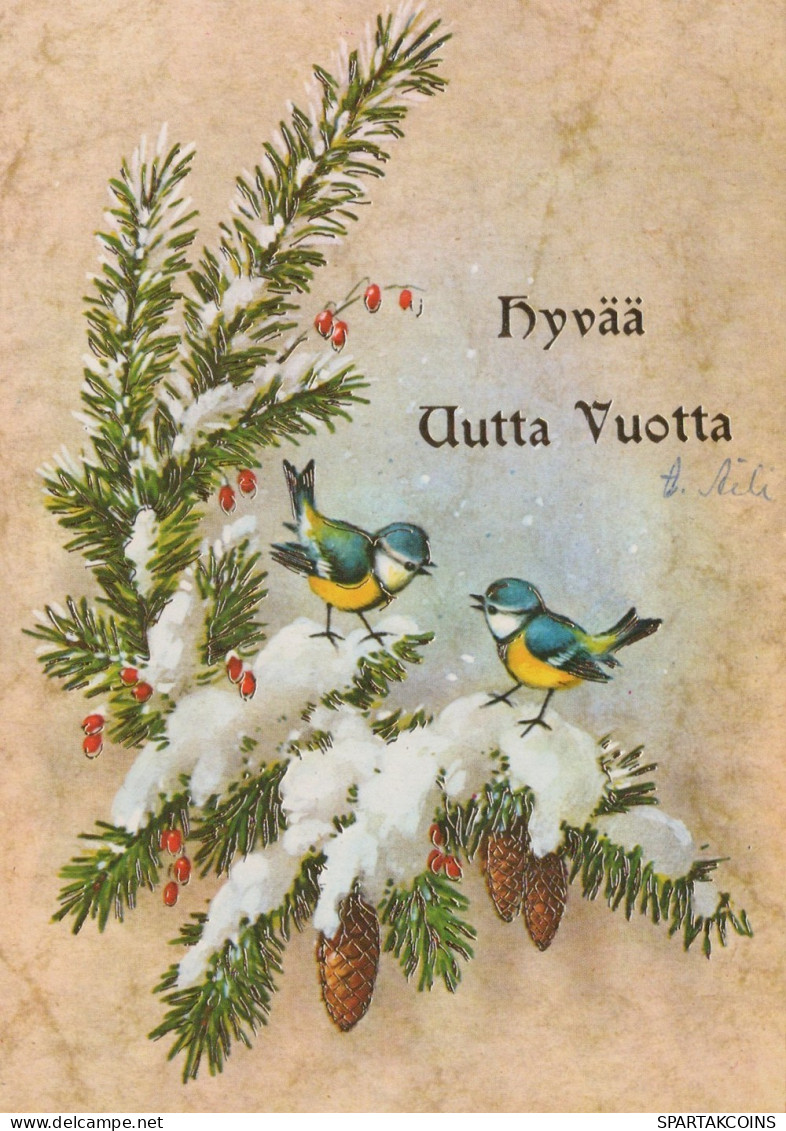 UCCELLO Animale Vintage Cartolina CPSM #PAM958.IT - Birds