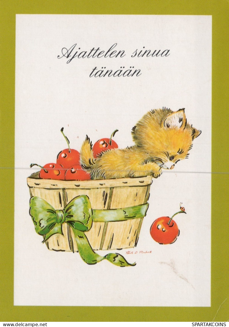 GATTO KITTY Animale Vintage Cartolina CPSM #PAM265.IT - Chats
