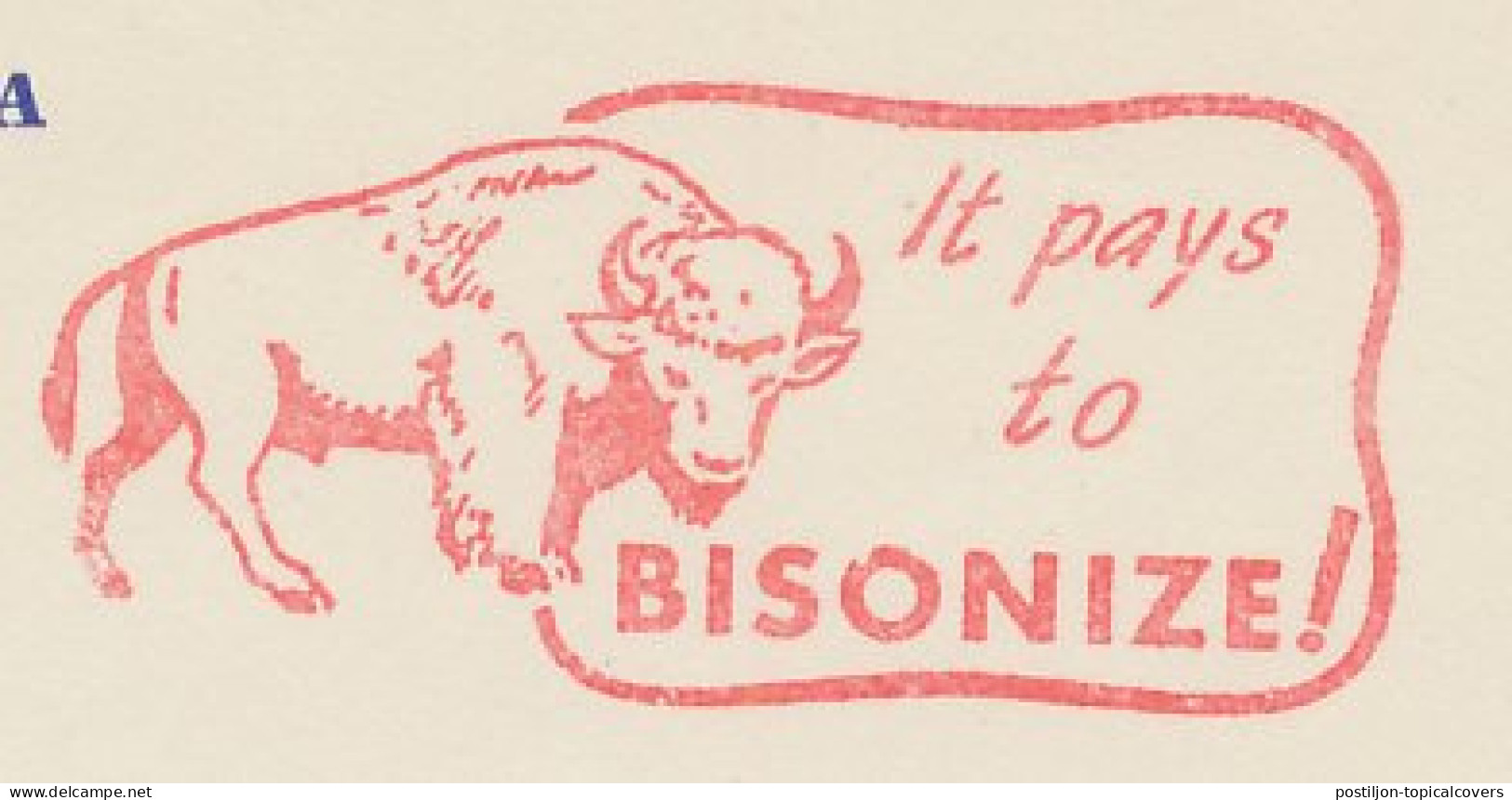 Meter Top Cut USA 1954 Bison - Otros & Sin Clasificación