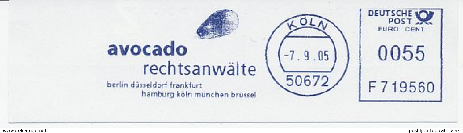 Meter Cut Germany 2005 Avocado - Fruits