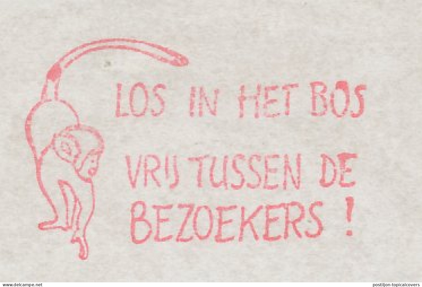 Meter Cut Netherlands 1995 Monkey - Autres & Non Classés