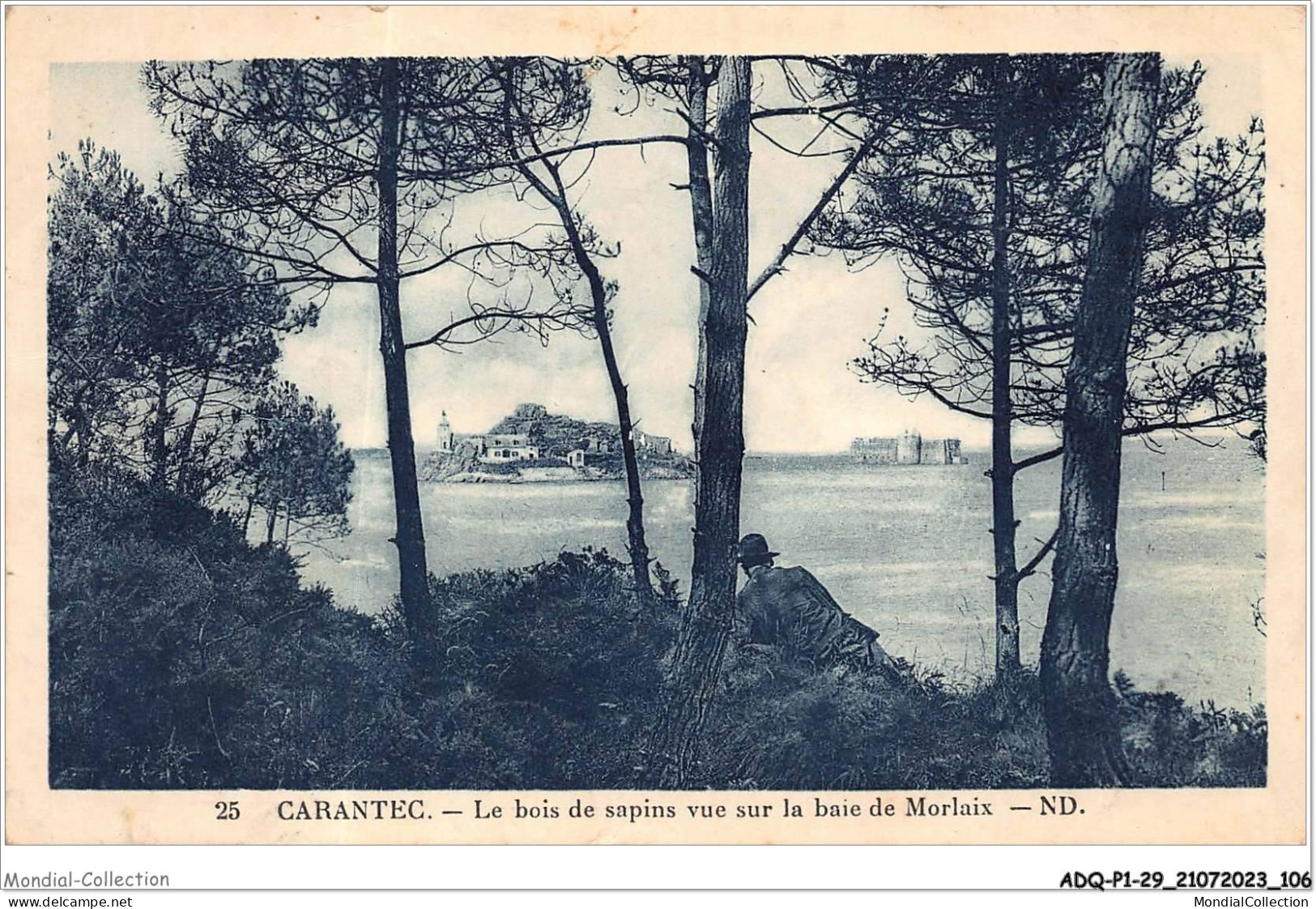 ADQP1-29-0054 - CARANTEC - Le Bois De Sapins Vue Sur La Baie De Morlaix - Carantec