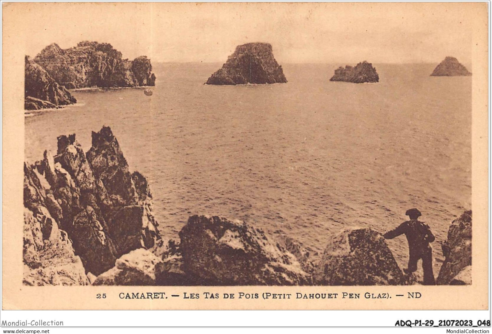 ADQP1-29-0025 - CAMARET -  Les Tas De Pois - Petit Dahouet Pen Glaz - Camaret-sur-Mer