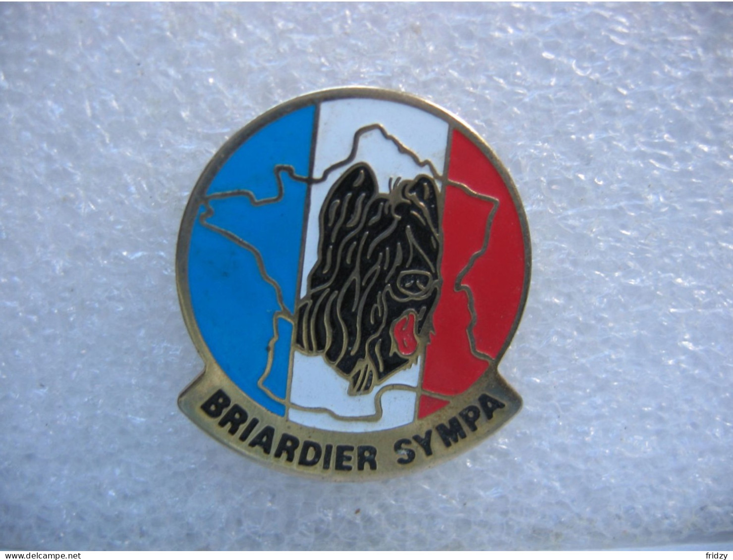 Pin's Brigadier Sympa - Police