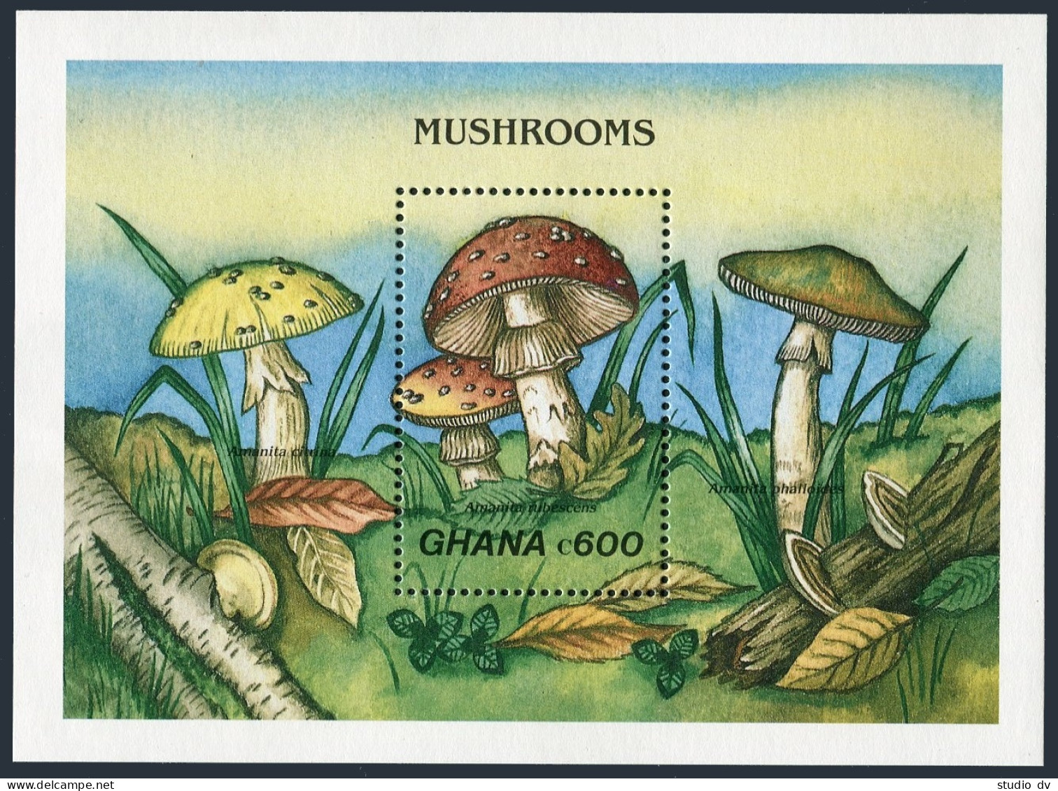 Ghana 1137-1139,1144,1146,MNH.Michel 1295-1297, 1302, Bl.146. Mushrooms 1989. - Préoblitérés