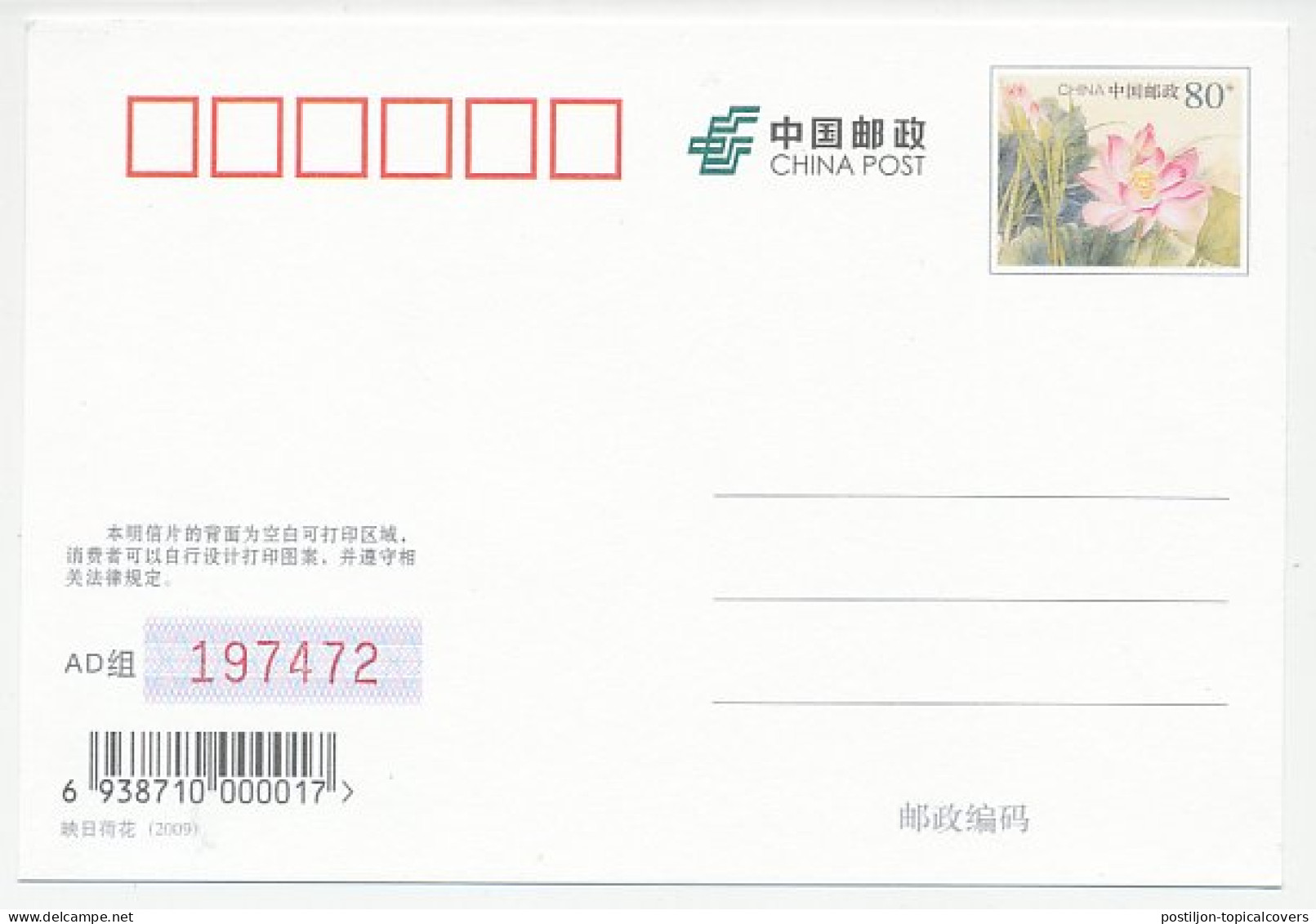 Postal Stationery China 2009 Polar Bear - Expéditions Arctiques