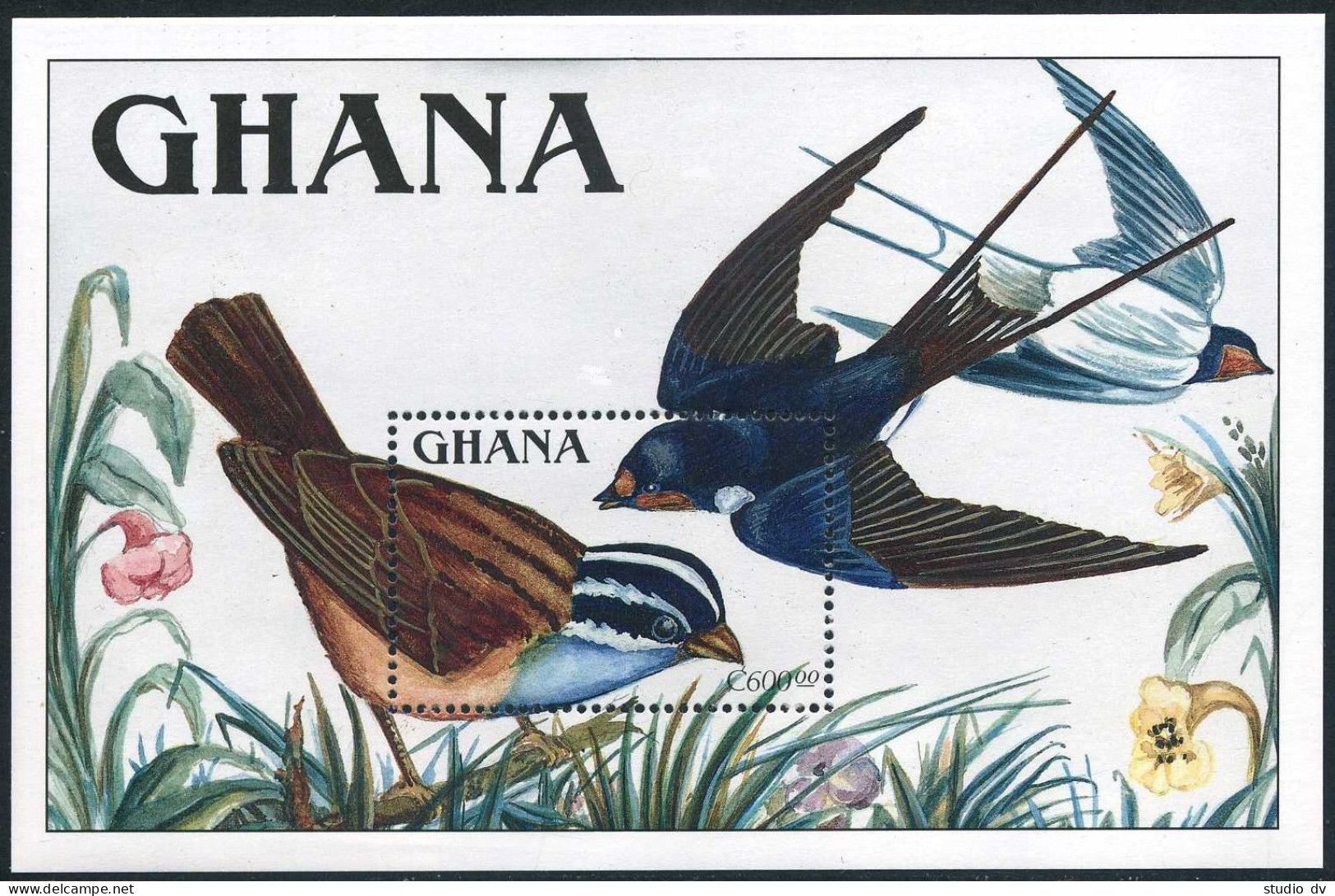 Ghana 1156-1157,MNH.Michel Bl.147-148. Birds 1989. - Precancels