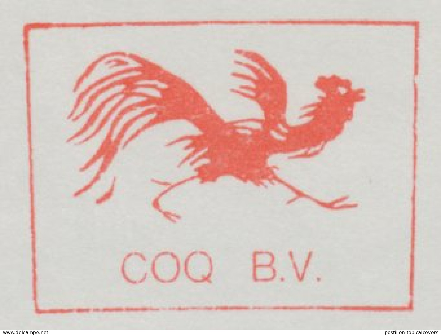 Meter Cut Netherlands 1978 Cock - Rooster - Hoftiere