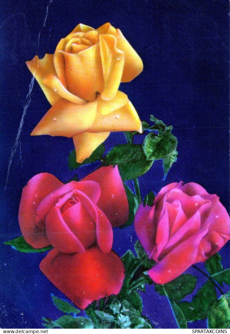 FLOWERS Vintage Ansichtskarte Postkarte CPSM #PAS002.DE - Fleurs