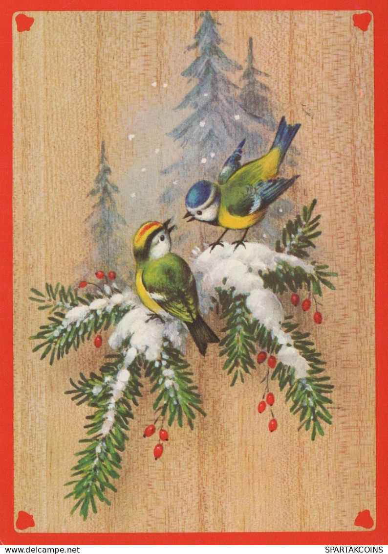 VOGEL Tier Vintage Ansichtskarte Postkarte CPSM #PAM957.DE - Birds