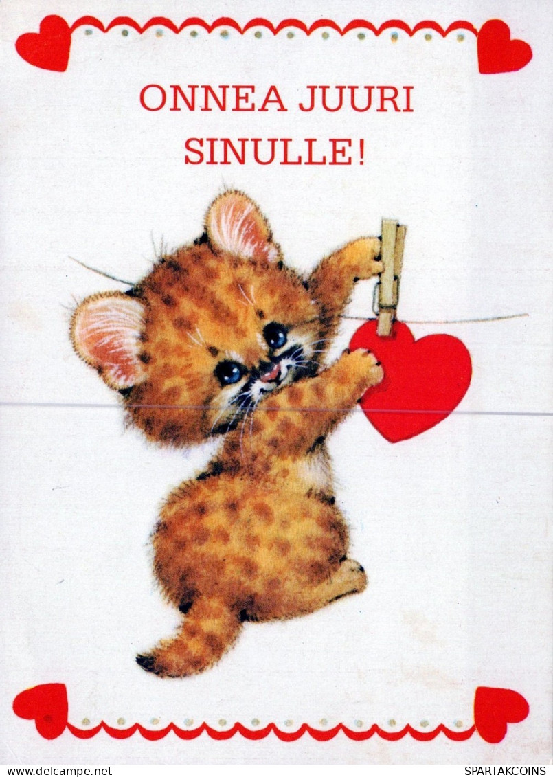 KATZE MIEZEKATZE Tier Vintage Ansichtskarte Postkarte CPSM #PAM264.DE - Chats