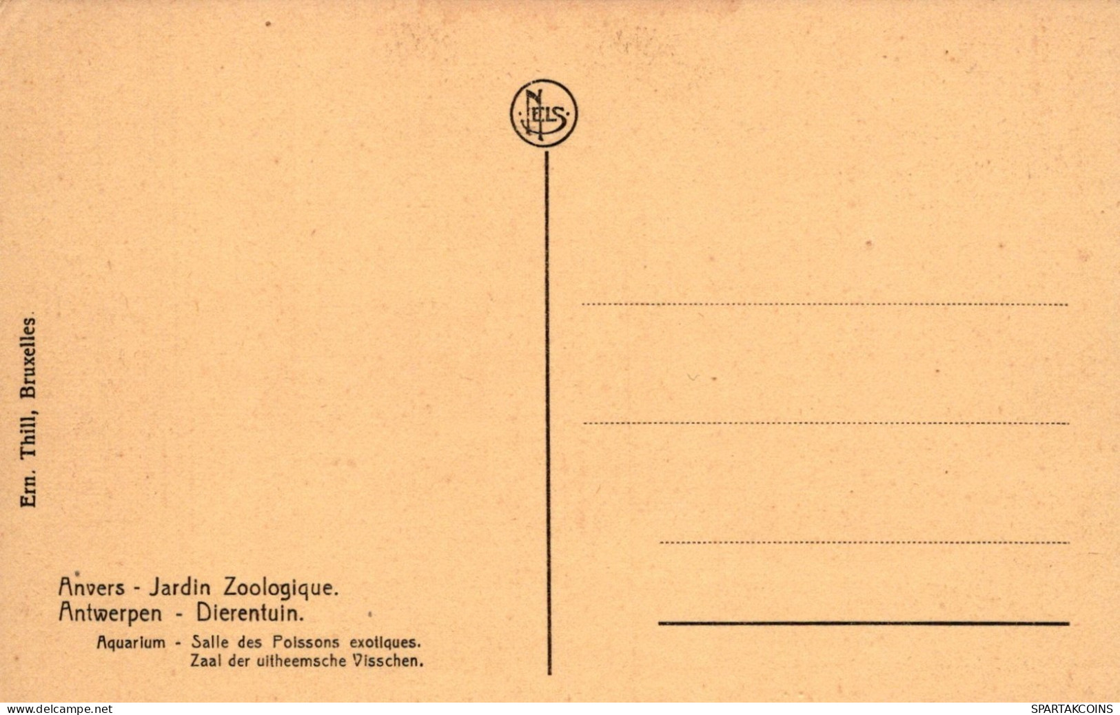 BELGIO ANTWERPEN Cartolina CPA #PAD437.IT - Antwerpen